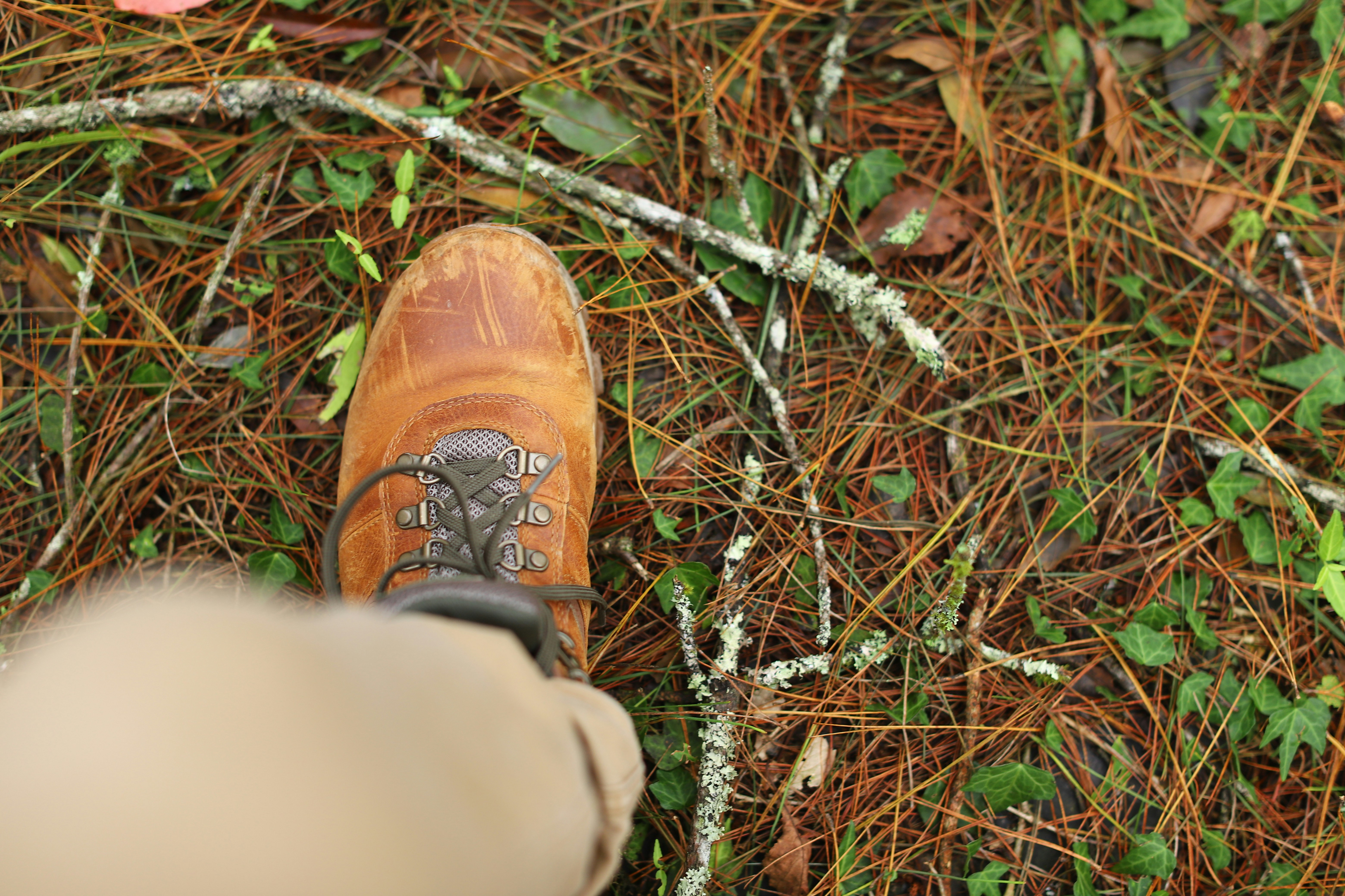 Showing Up: The Courage to Begin Again