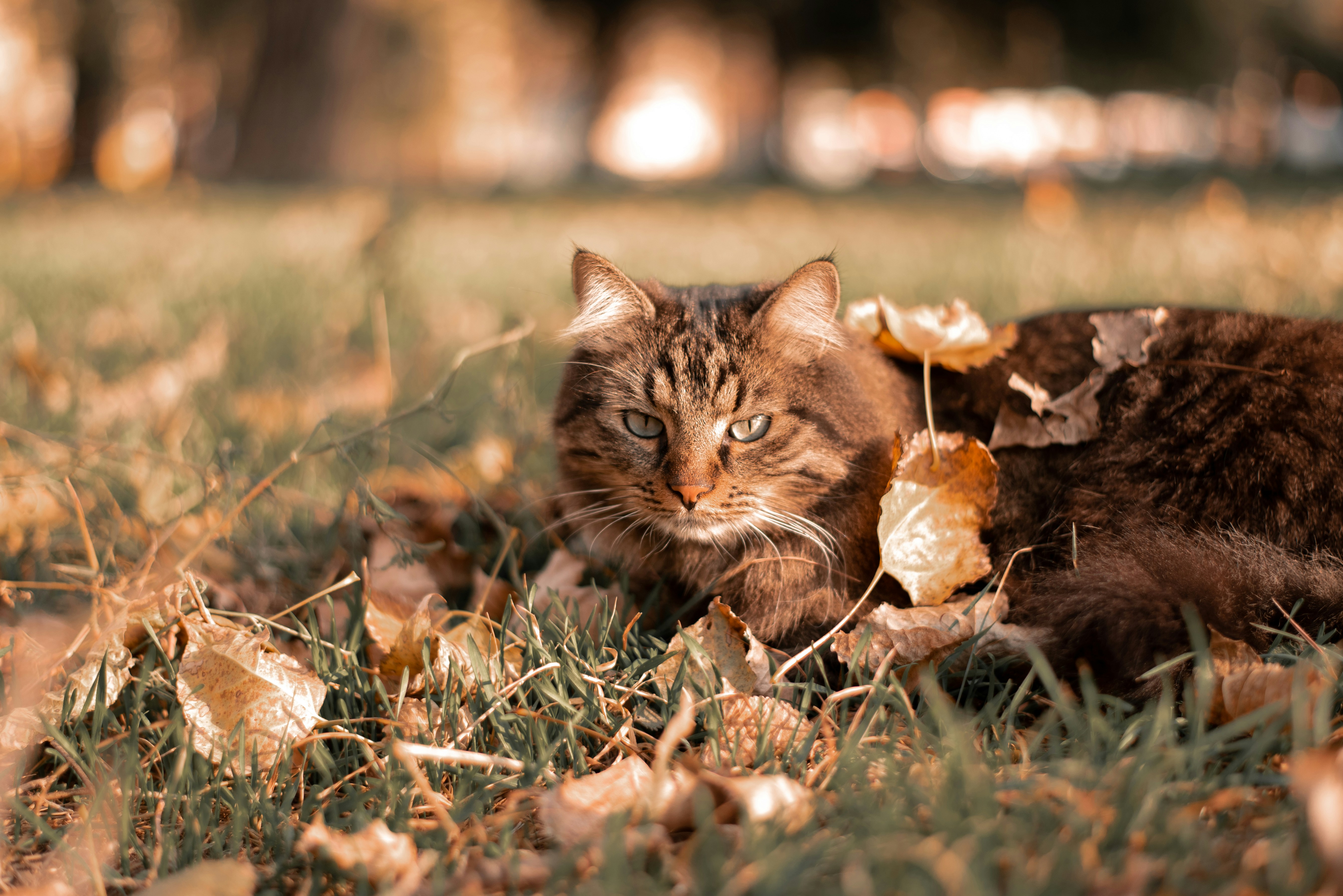 Photo by karina_brovchenko