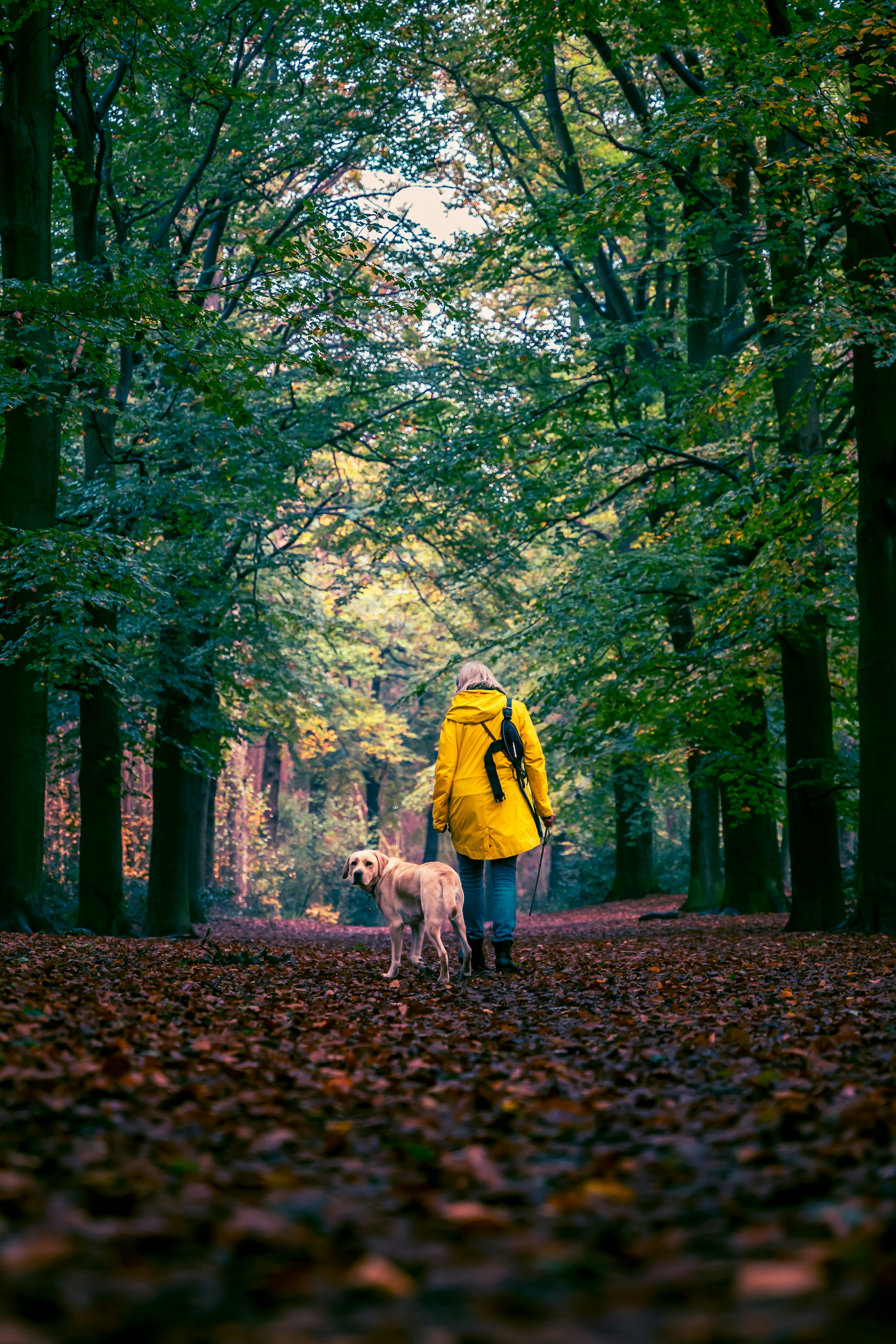 Photo by brotakesphotos