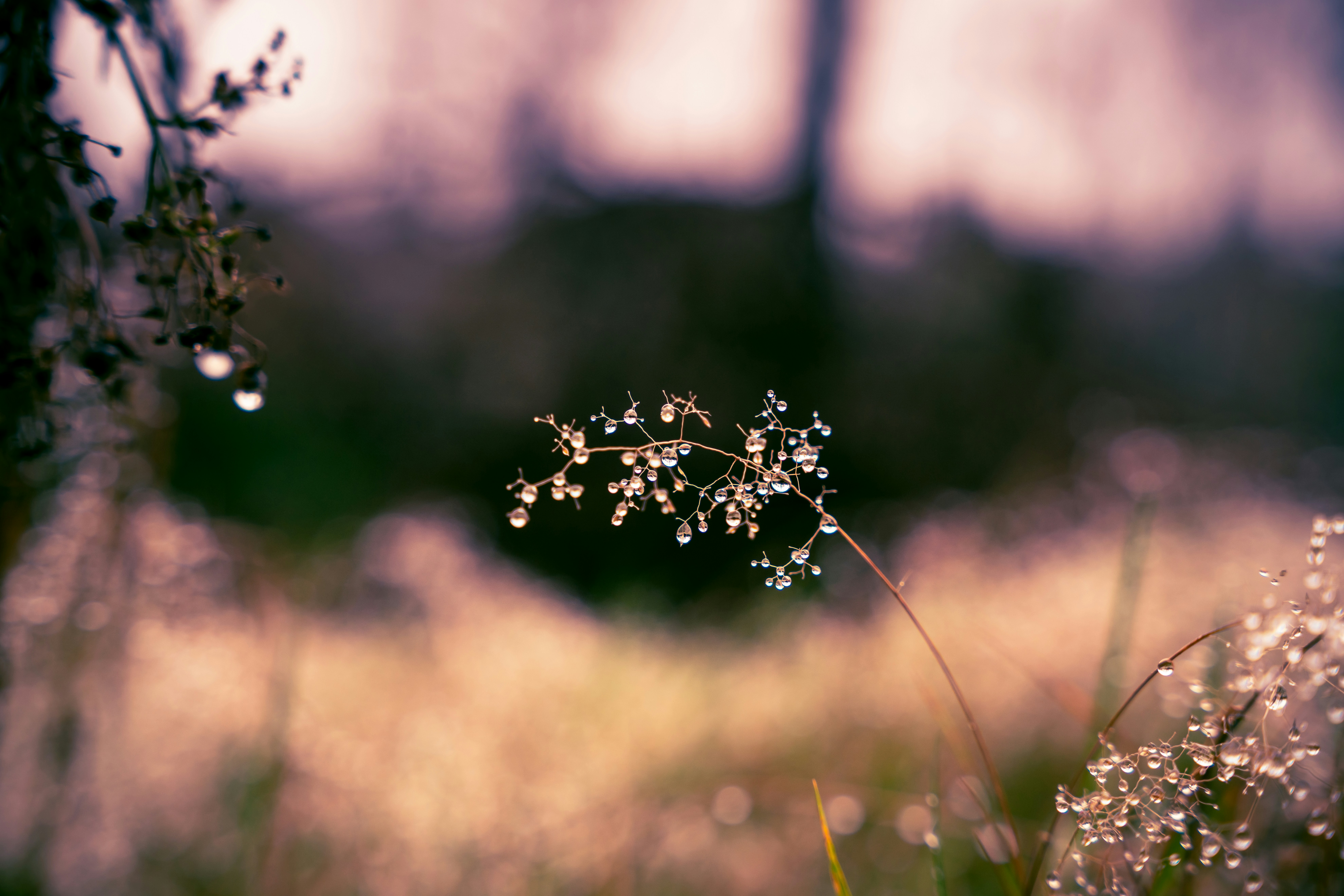 Photo by brotakesphotos