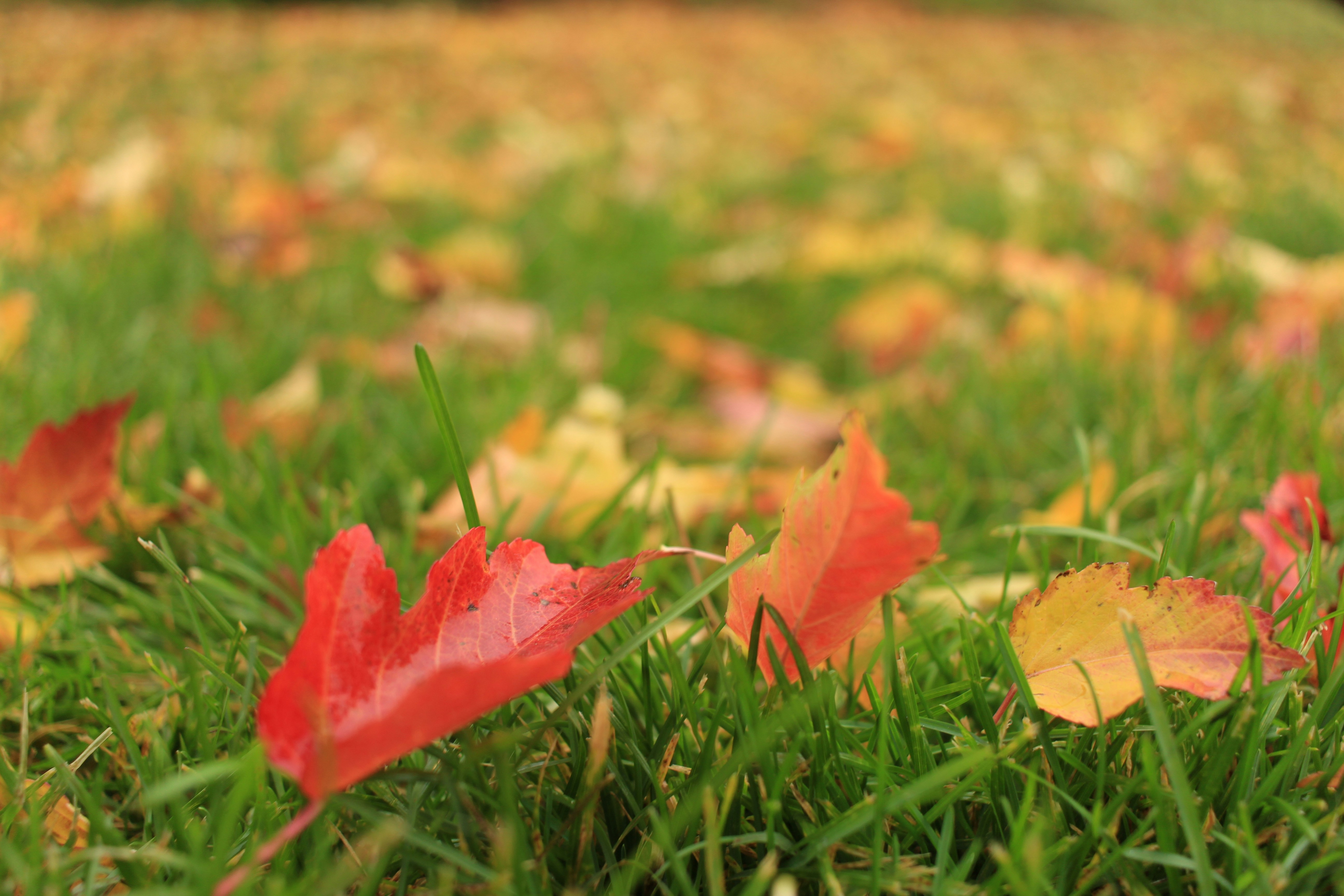 Photo by djburkephotography