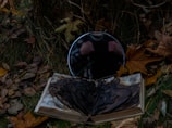 An open book with charred pages lies on the ground amidst fallen autumn leaves and grass. A round mirror is placed behind it, reflecting a faint image of someone's hands clasped together, creating an eerie atmosphere.