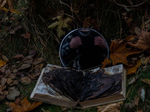 An open book with charred pages lies on the ground amidst fallen autumn leaves and grass. A round mirror is placed behind it, reflecting a faint image of someone's hands clasped together, creating an eerie atmosphere.