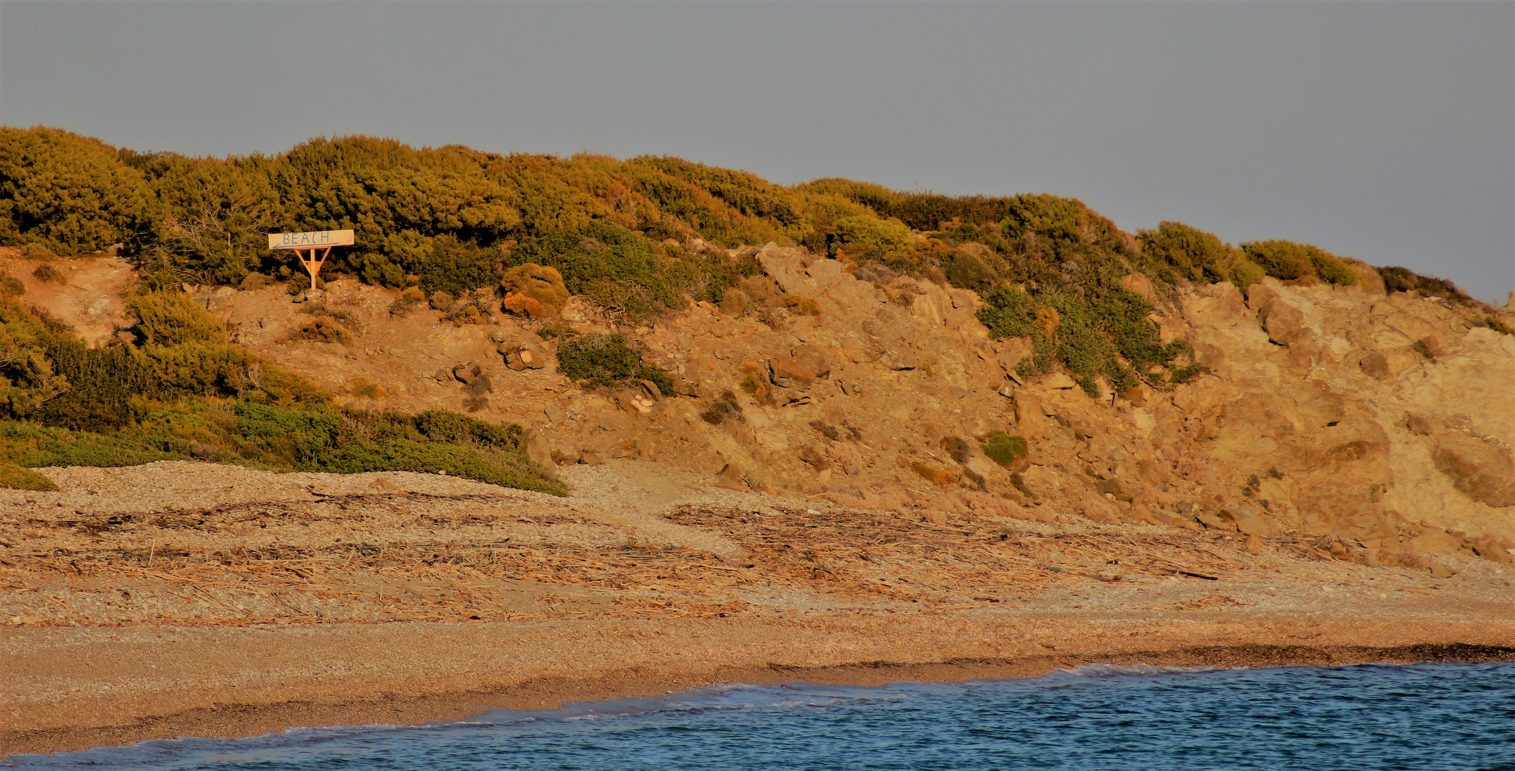 Photo by daisyforbabe