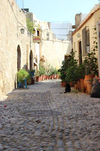 a cobblestone street with potted plants on either side