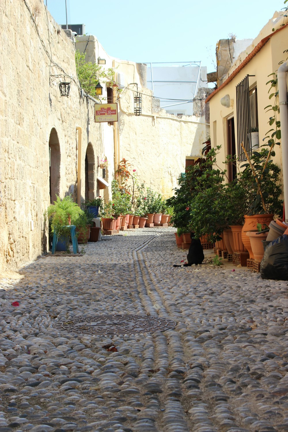 a cobblestone street with potted plants on either side