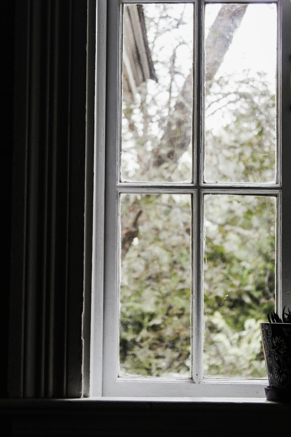 a potted plant sitting in front of a window