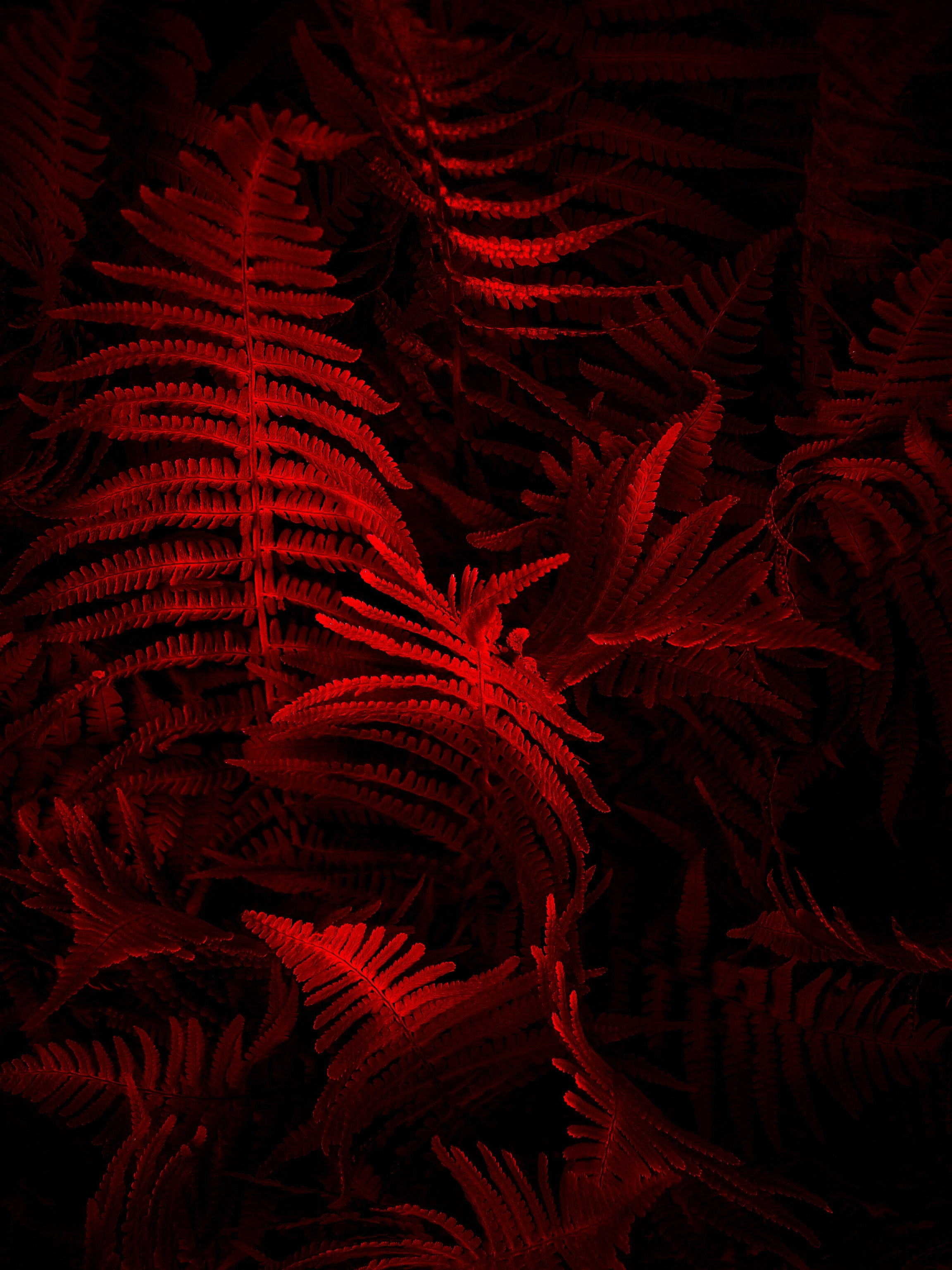 Photo by eugene_golovesov