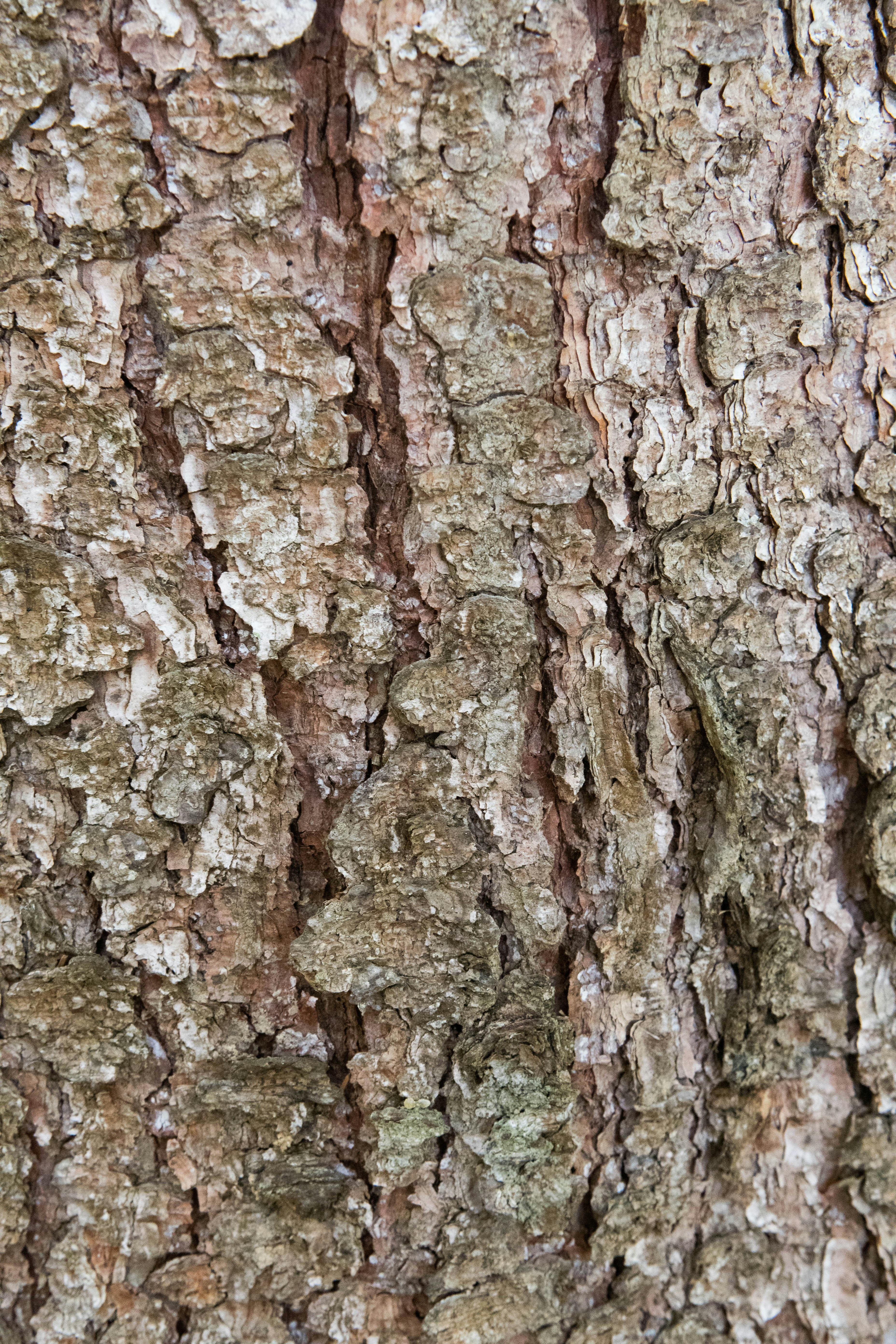 Photo by jessica_rigollot