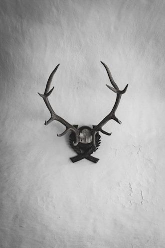 A set of deer antlers mounted on a textured wall creates a classic and rustic atmosphere. The plaque and antlers have an antique appearance, suggesting a traditional or vintage style. The wall features cracked and peeling paint, adding to the aged and weathered look.