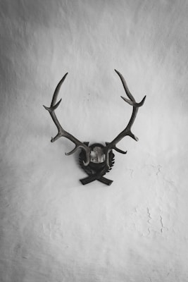 A set of deer antlers mounted on a textured wall creates a classic and rustic atmosphere. The plaque and antlers have an antique appearance, suggesting a traditional or vintage style. The wall features cracked and peeling paint, adding to the aged and weathered look.