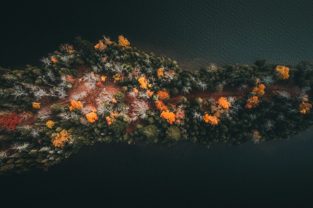 an aerial view of a river with trees in the foreground