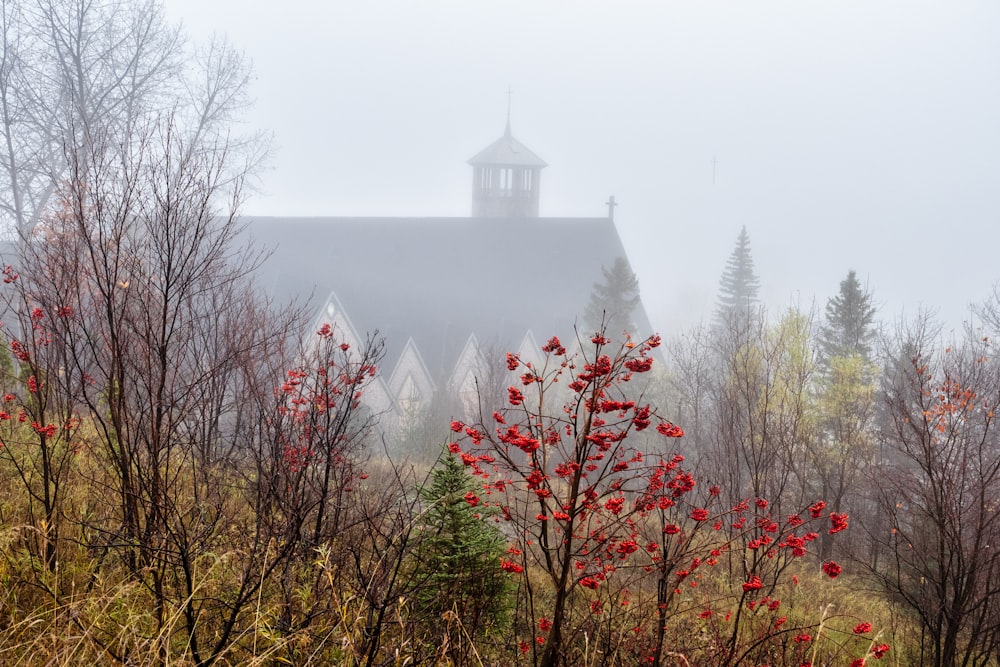 Eine Kirche im Nebel mit roten Beeren im Vordergrund