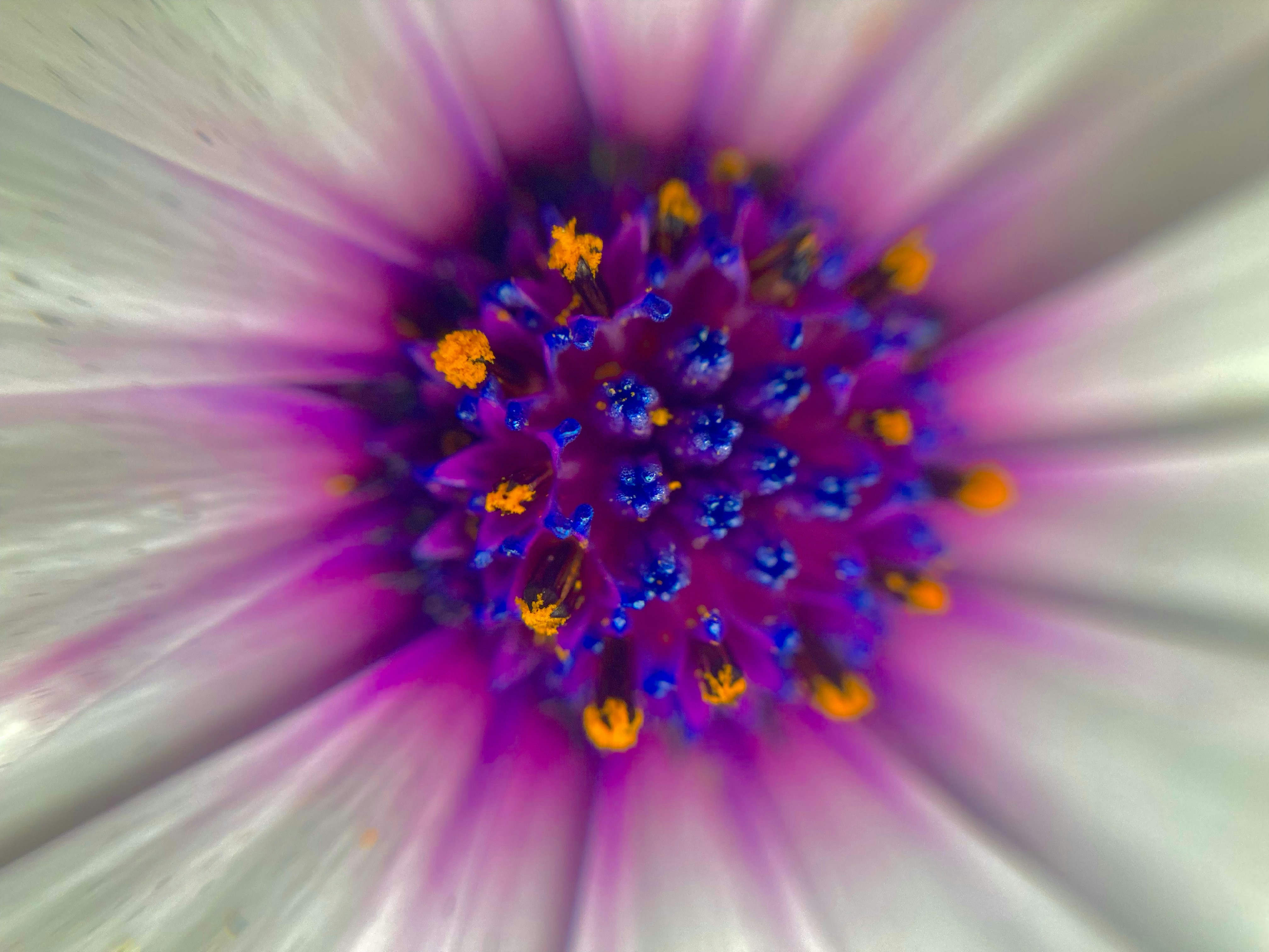 Photo by jael_92_miranda