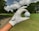 a person holding a golf ball in their hand