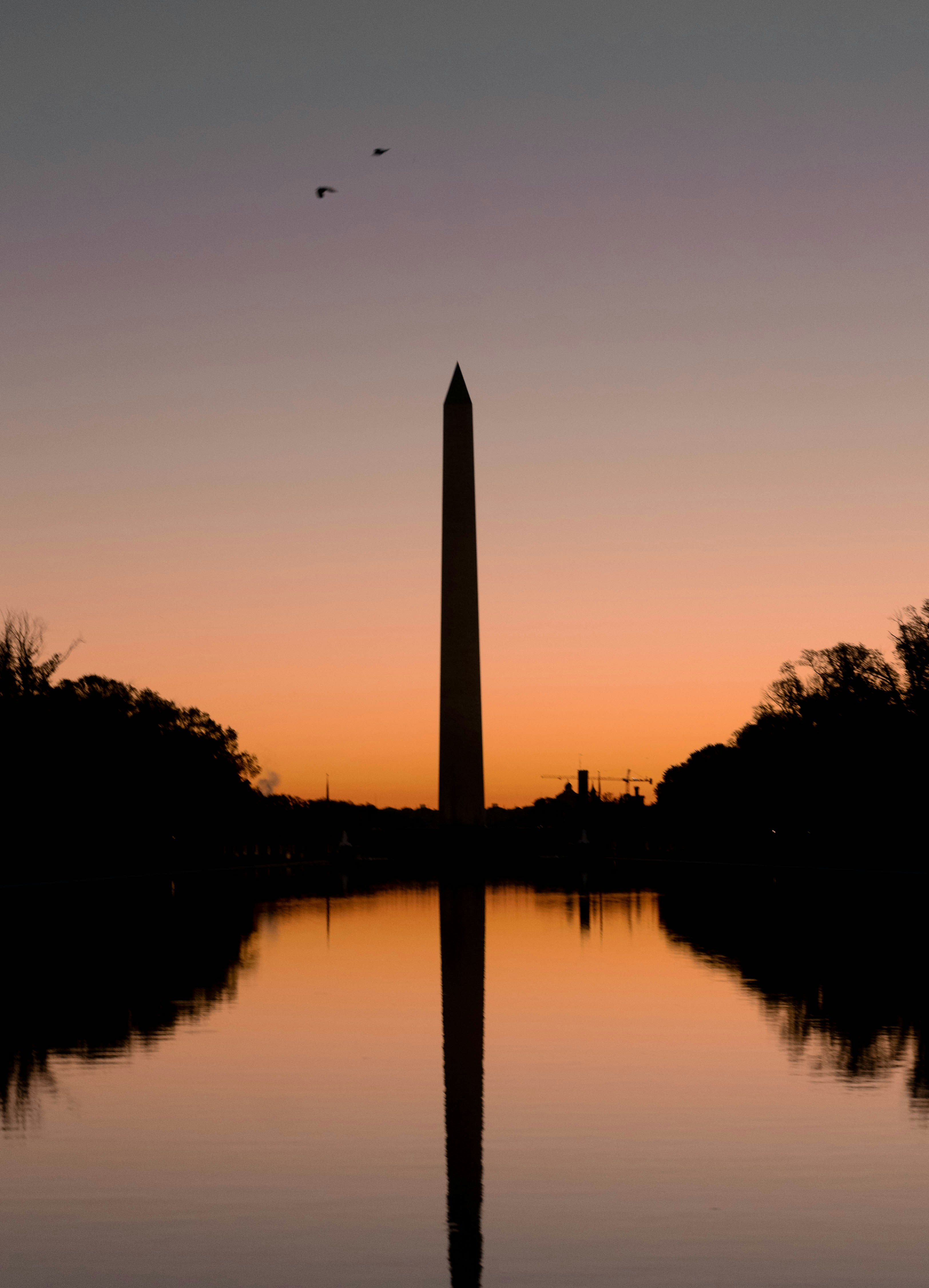 Photo by harrisonmitchell