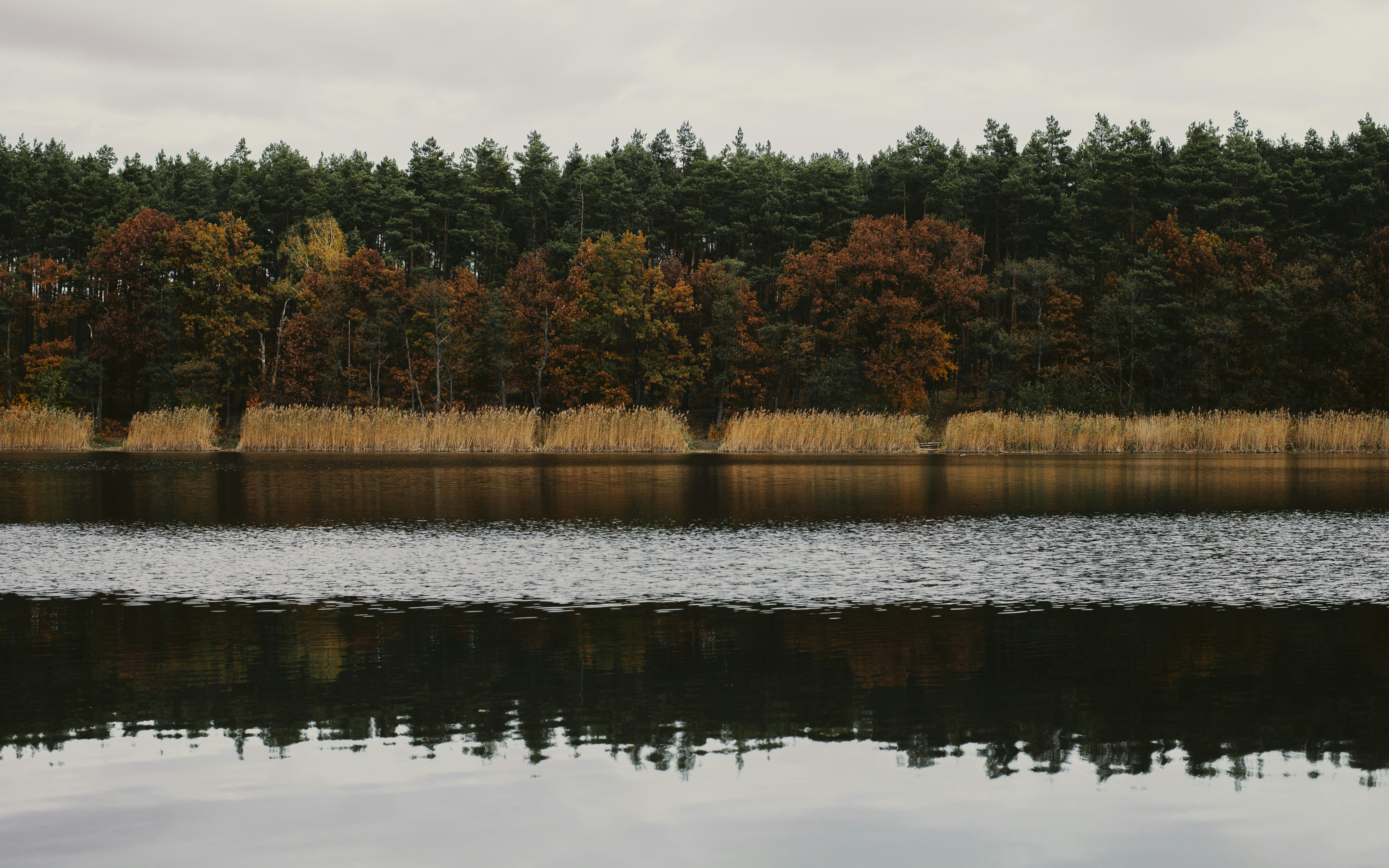 Photo by victor_vector