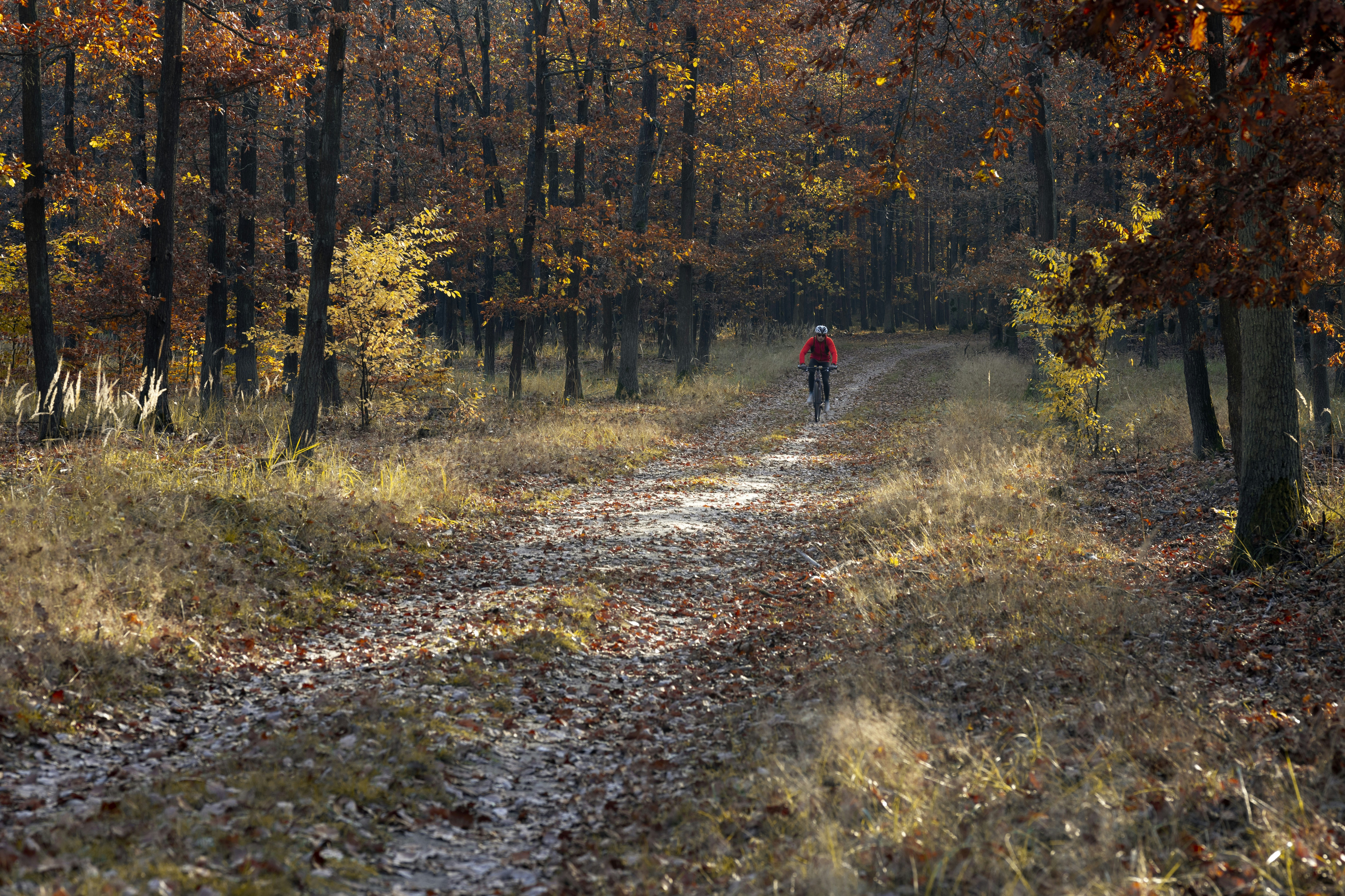 Photo by victor_vector