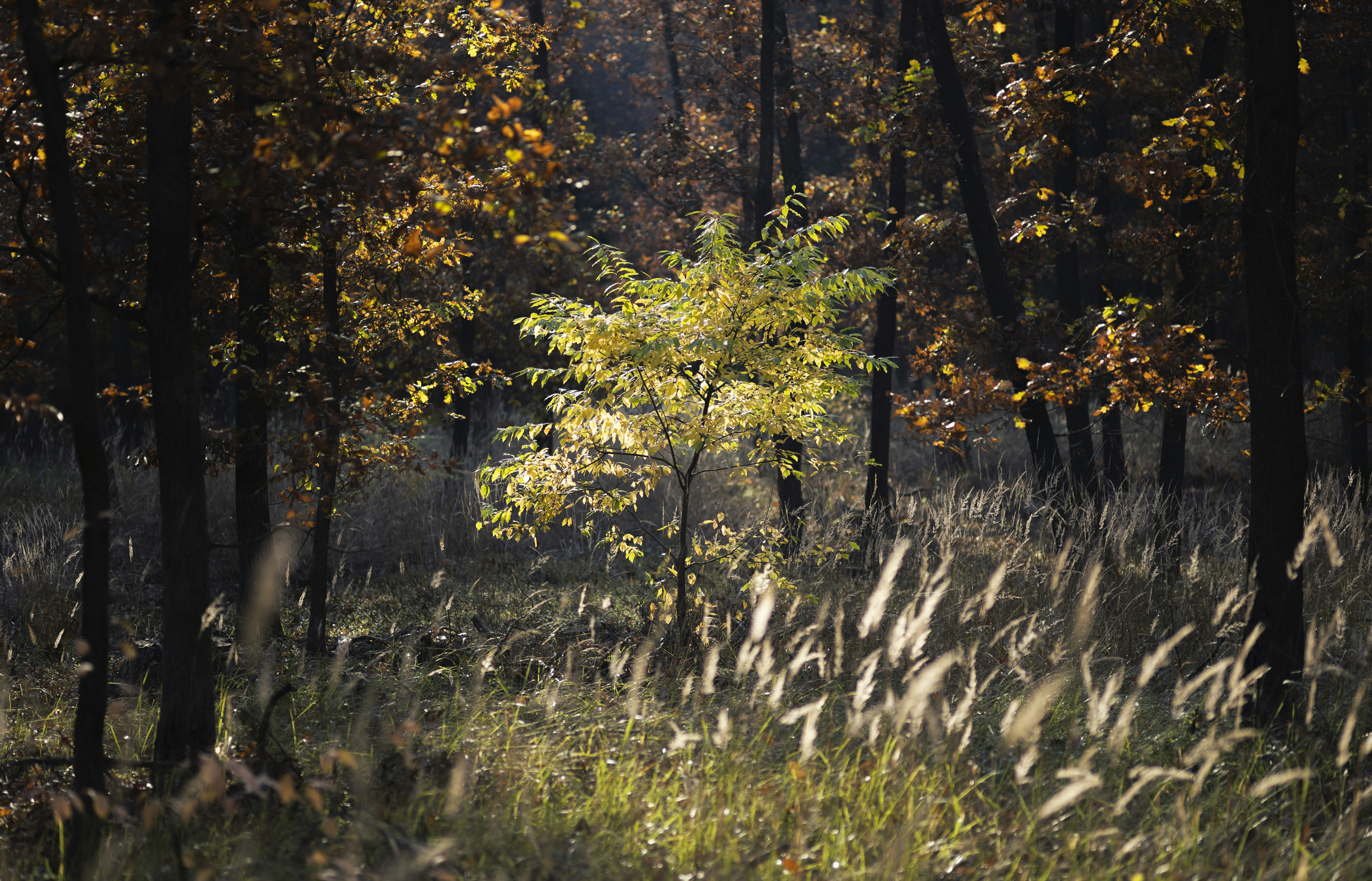 Photo by victor_vector