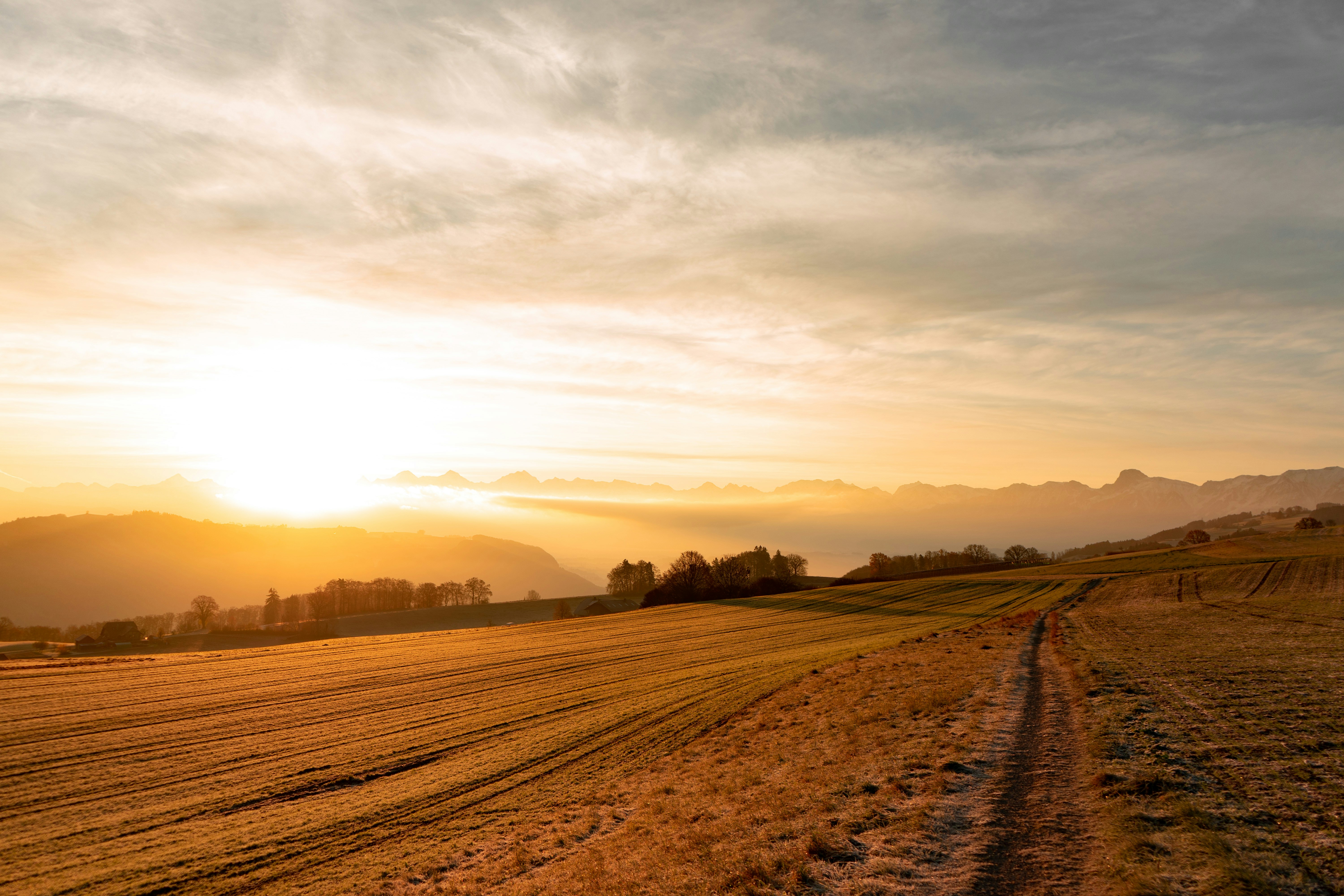 Photo by benaja_photos