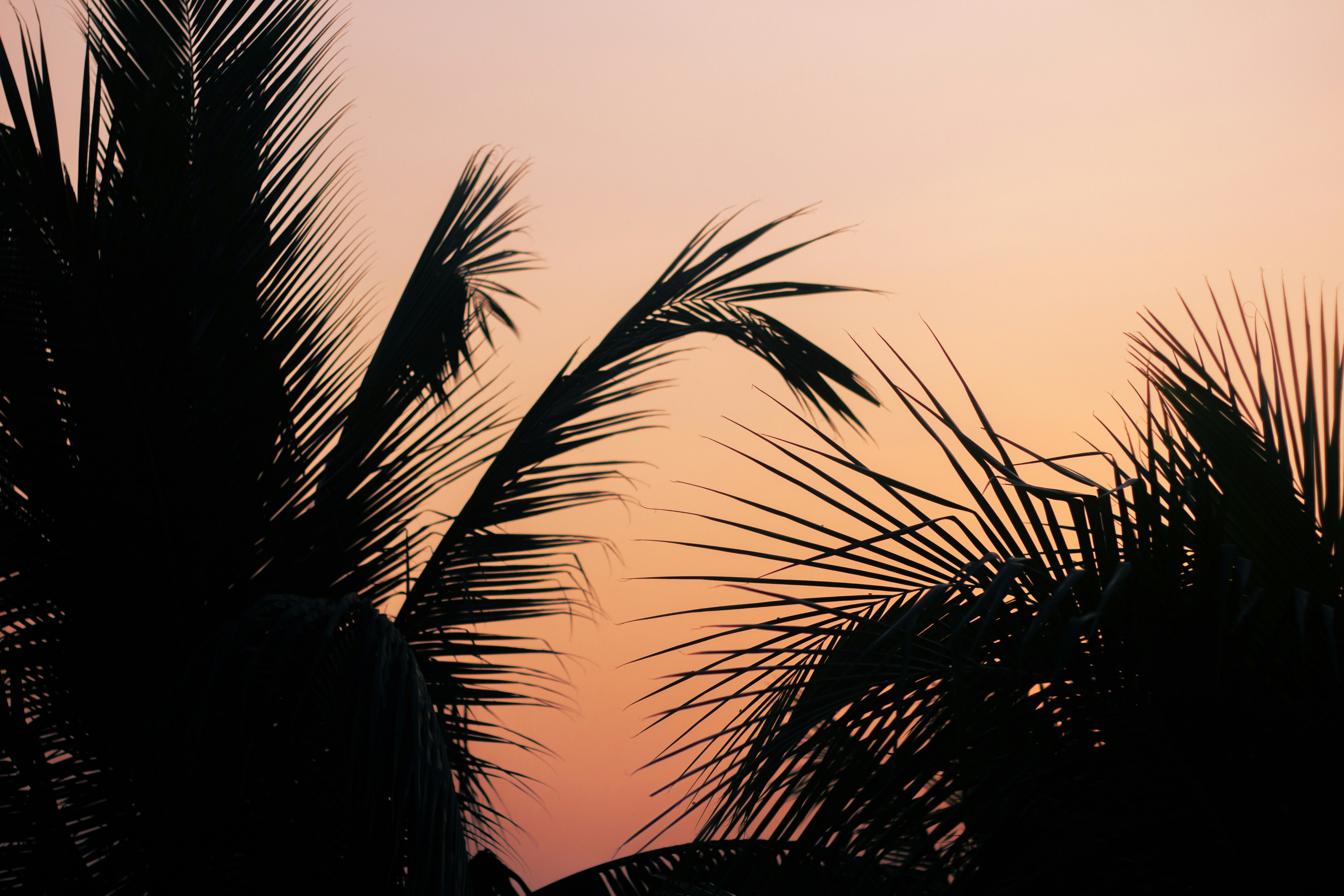 Photo by southern_scenes