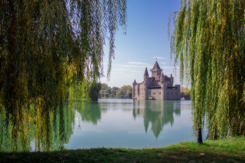 나무로 둘러싸인 호수 위에 앉아있는 성