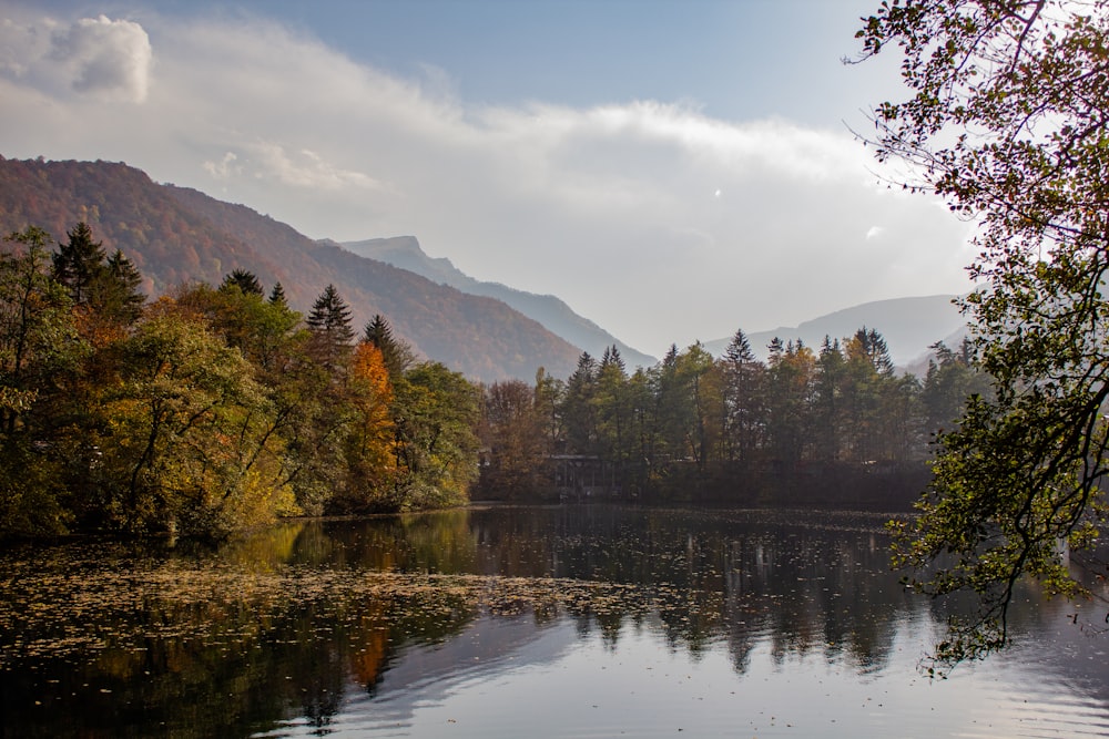 uno specchio d'acqua circondato da alberi e montagne