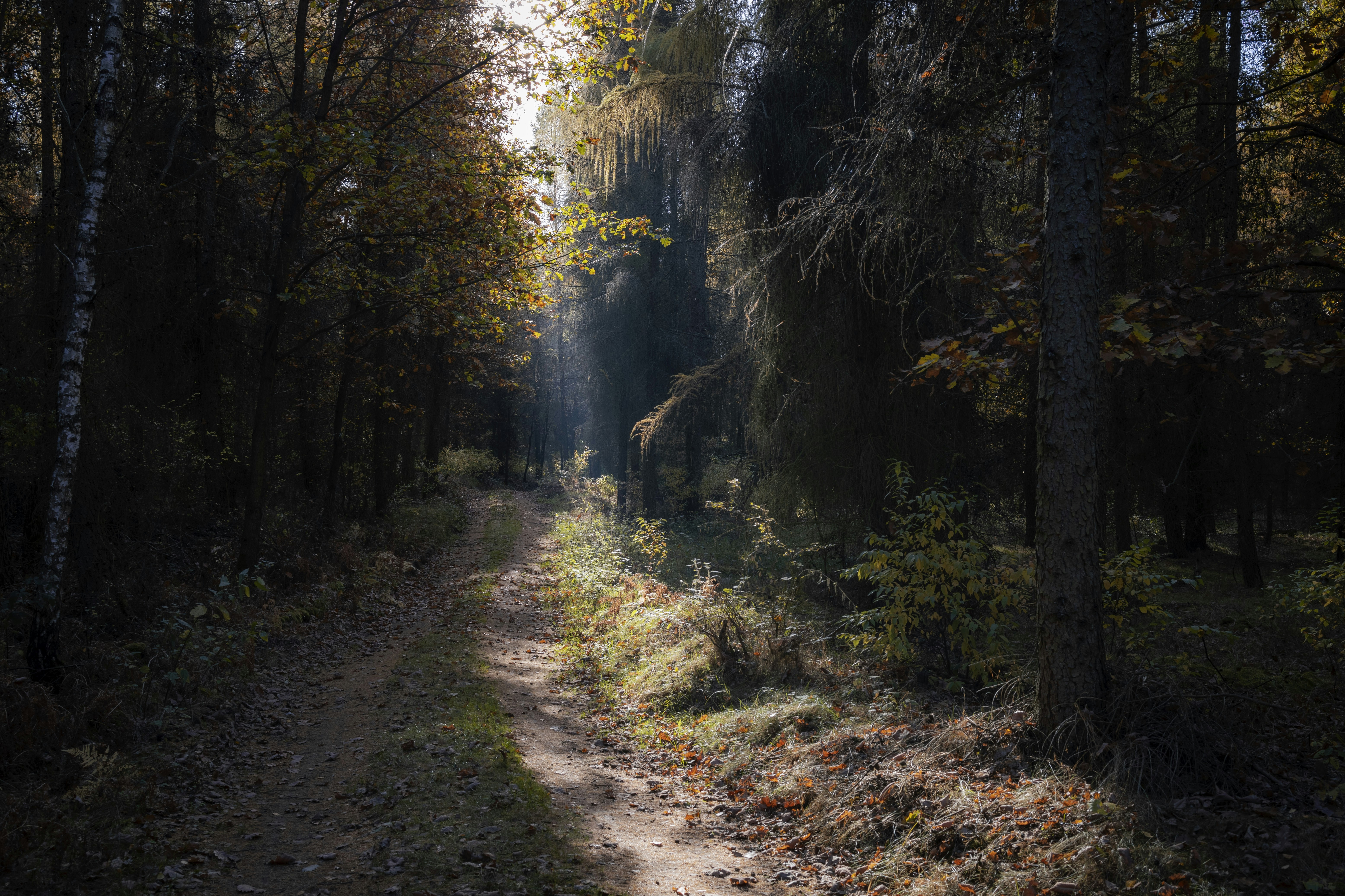 Photo by victor_vector