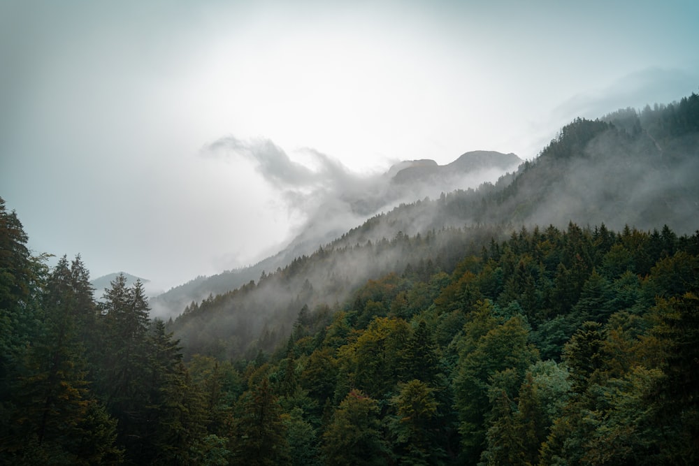 a mountain covered in fog and low lying clouds