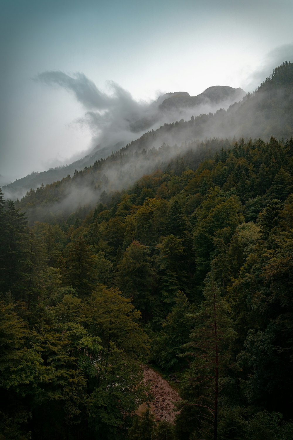 a mountain covered in fog and low lying clouds