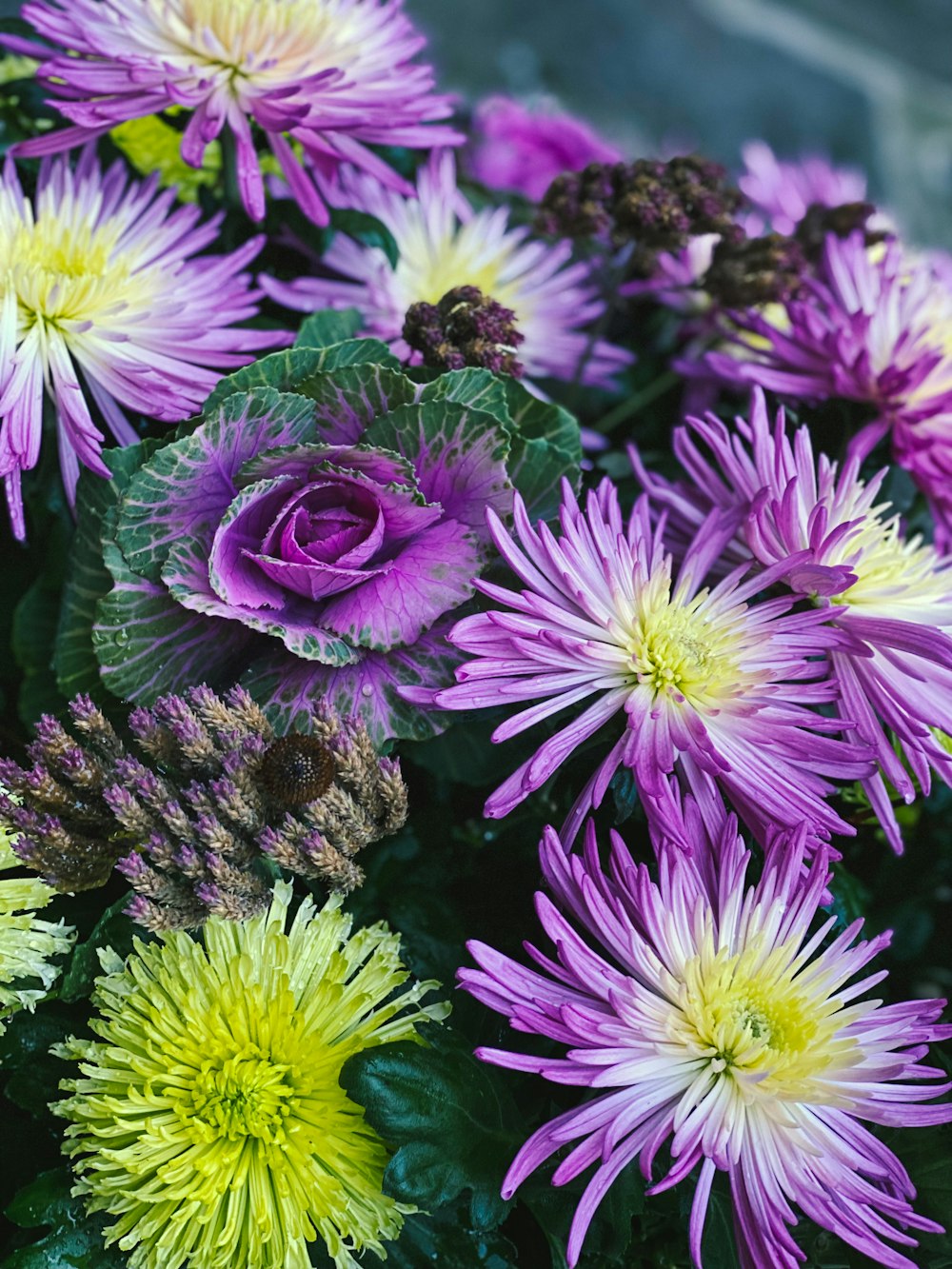 a bunch of purple and yellow flowers with green leaves