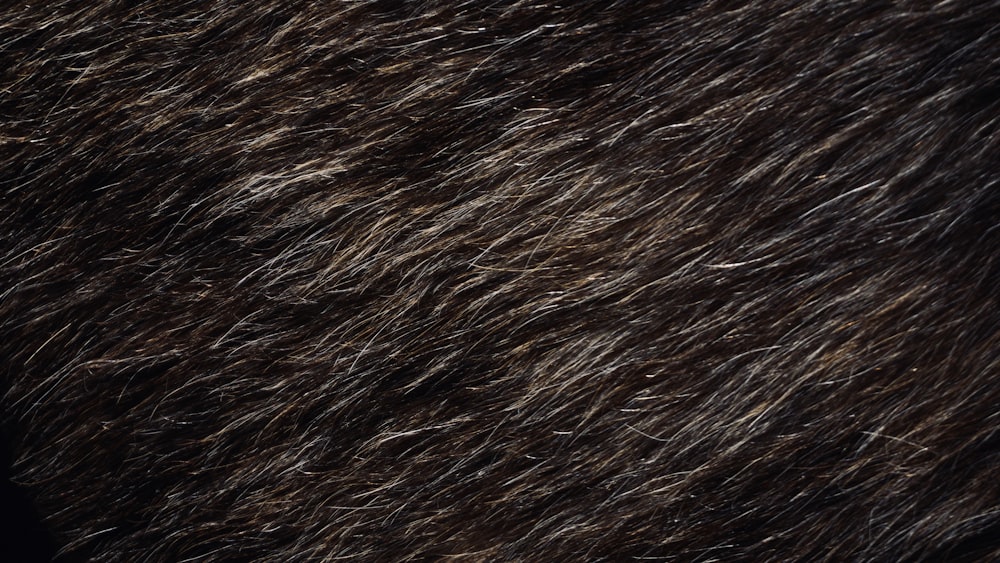 a close up of a black and brown fur texture