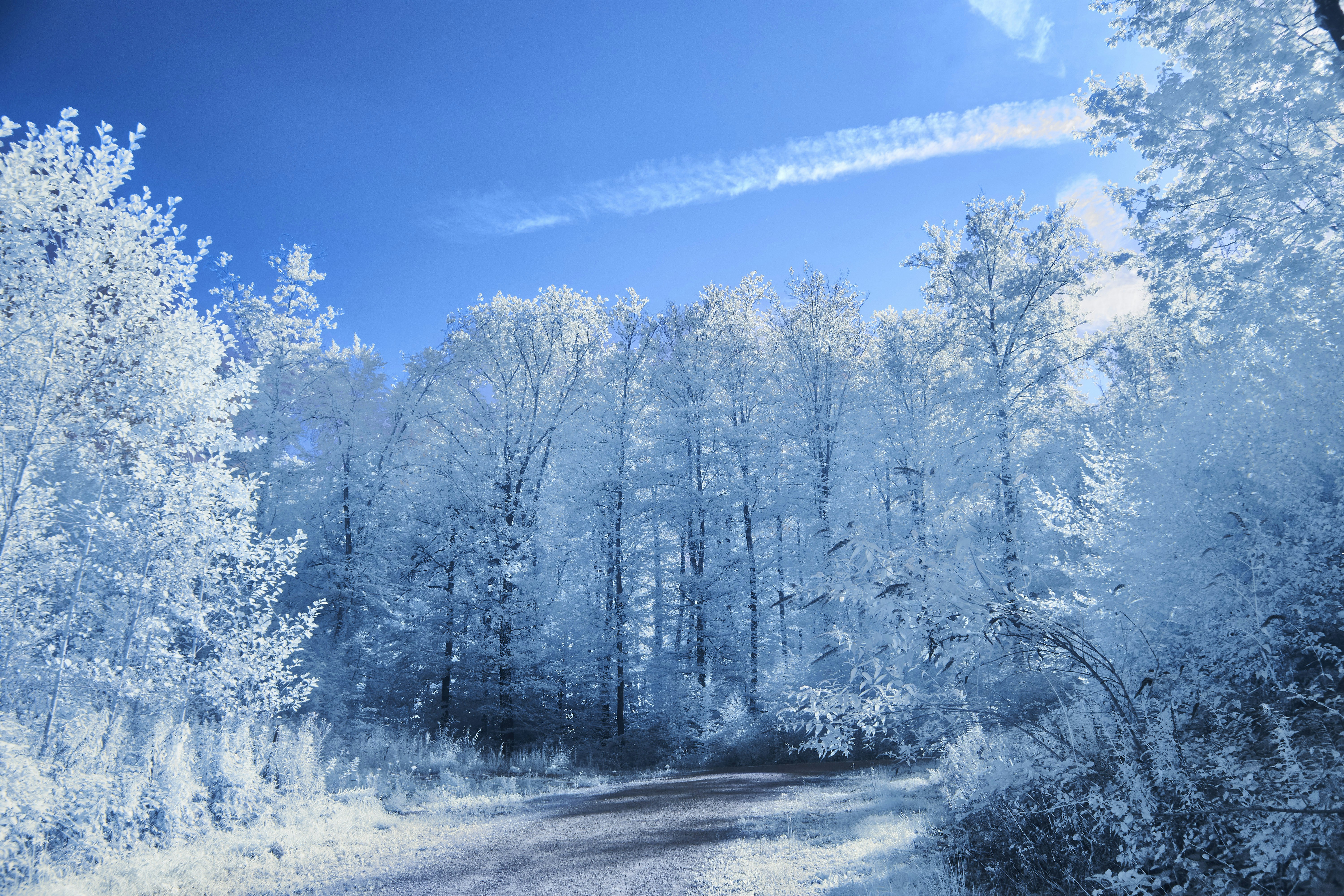 Photo by wolfgang_hasselmann