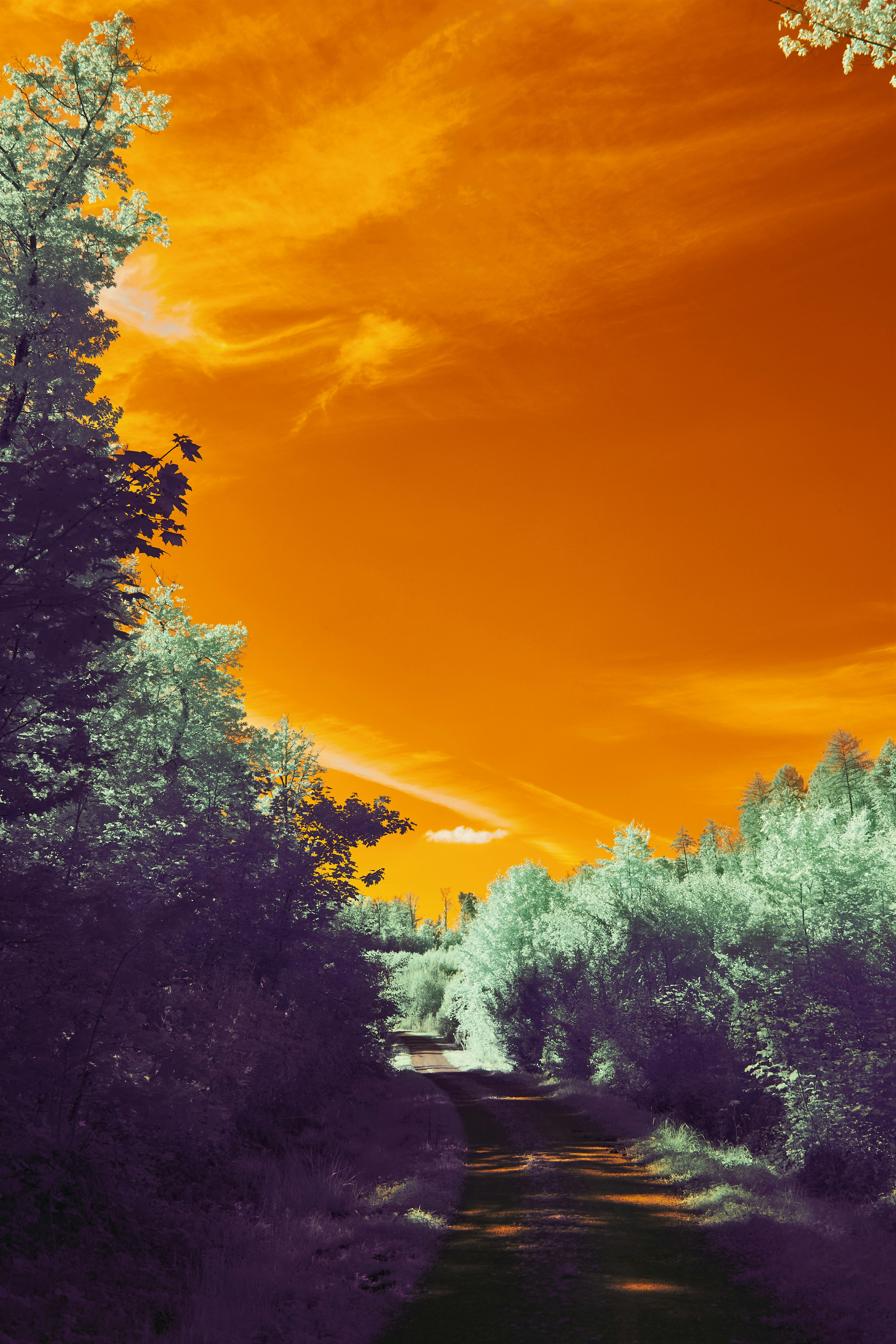 Photo by wolfgang_hasselmann