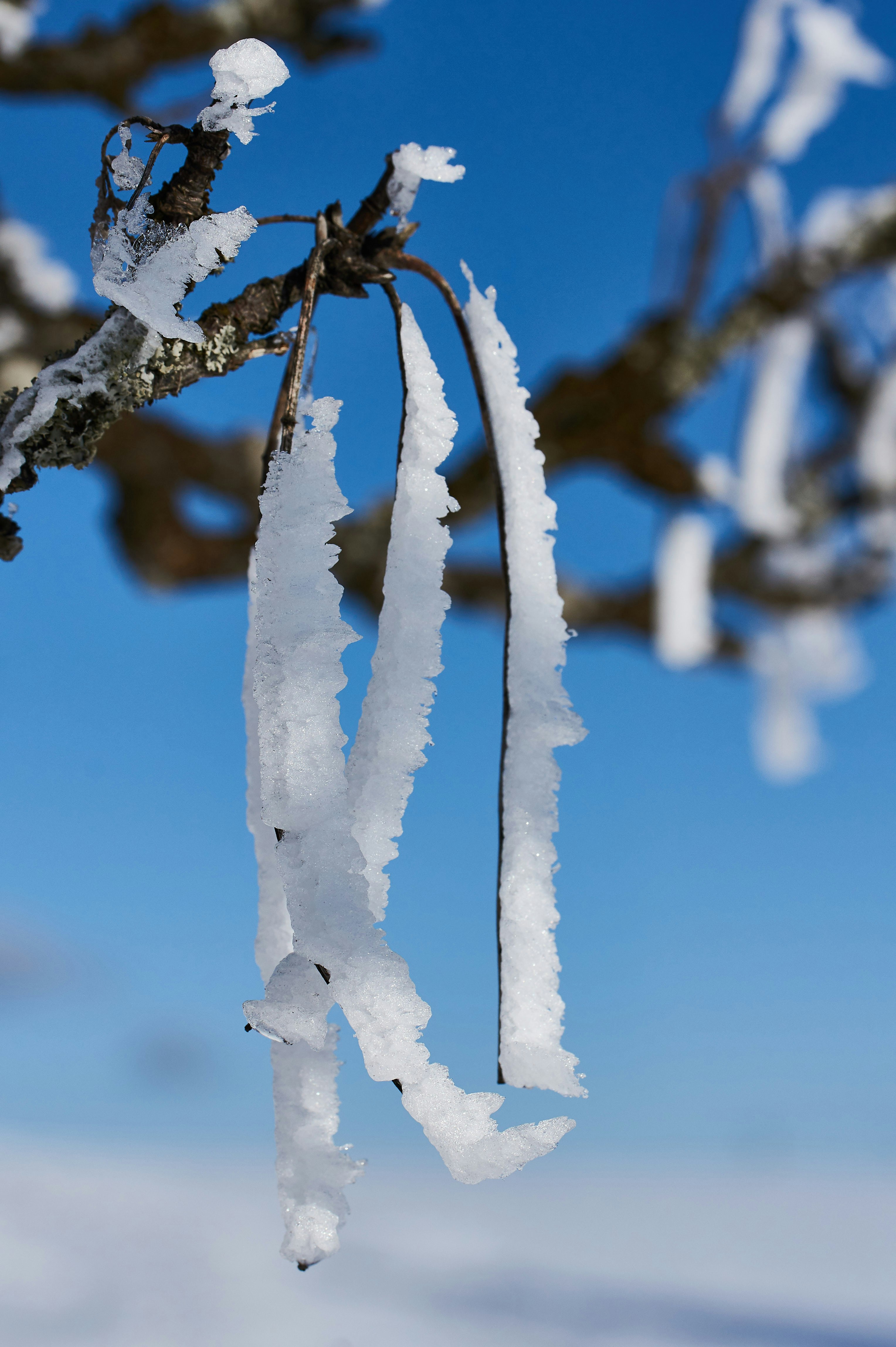 Photo by wolfgang_hasselmann