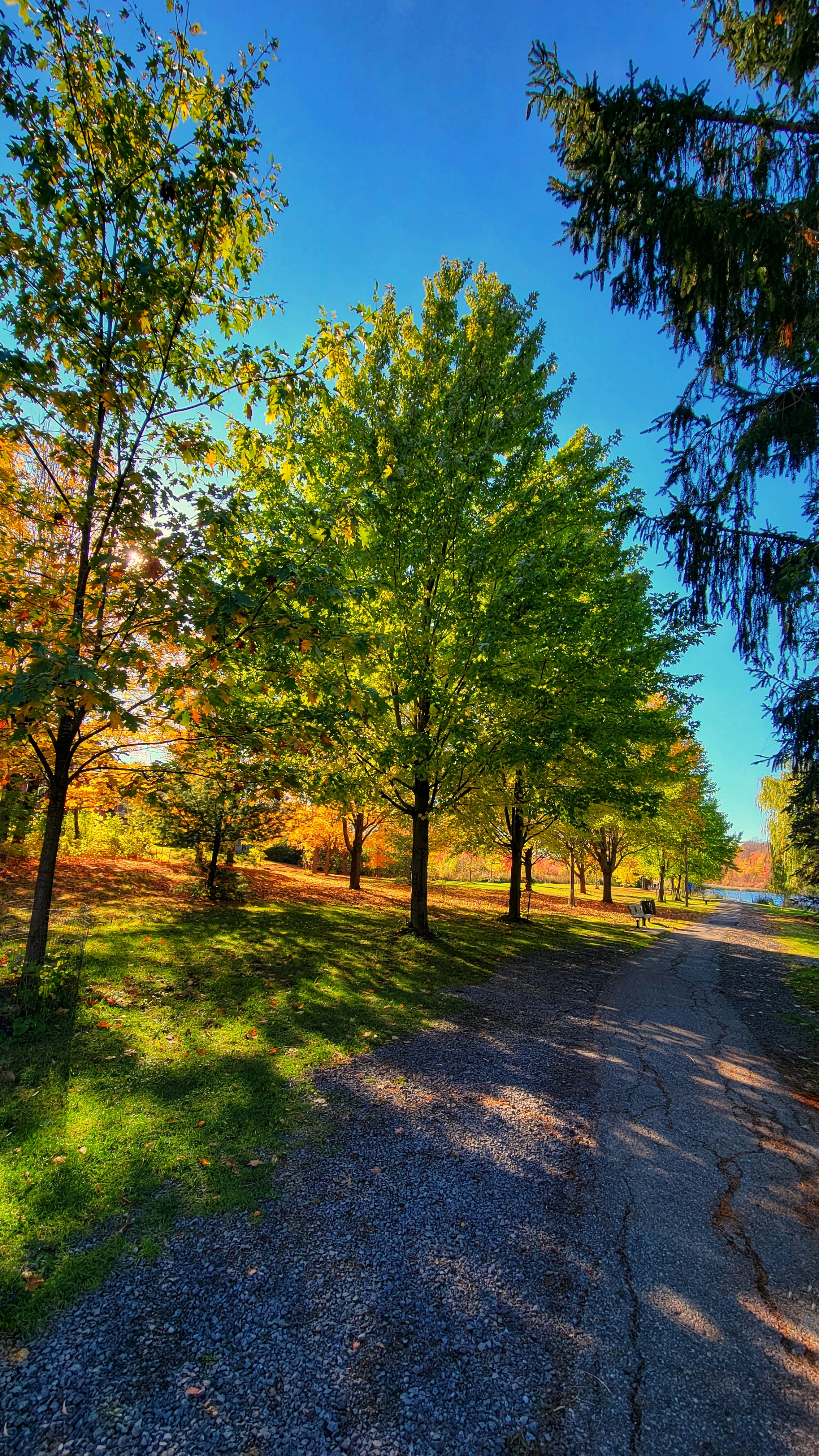 Photo by thephotographermom