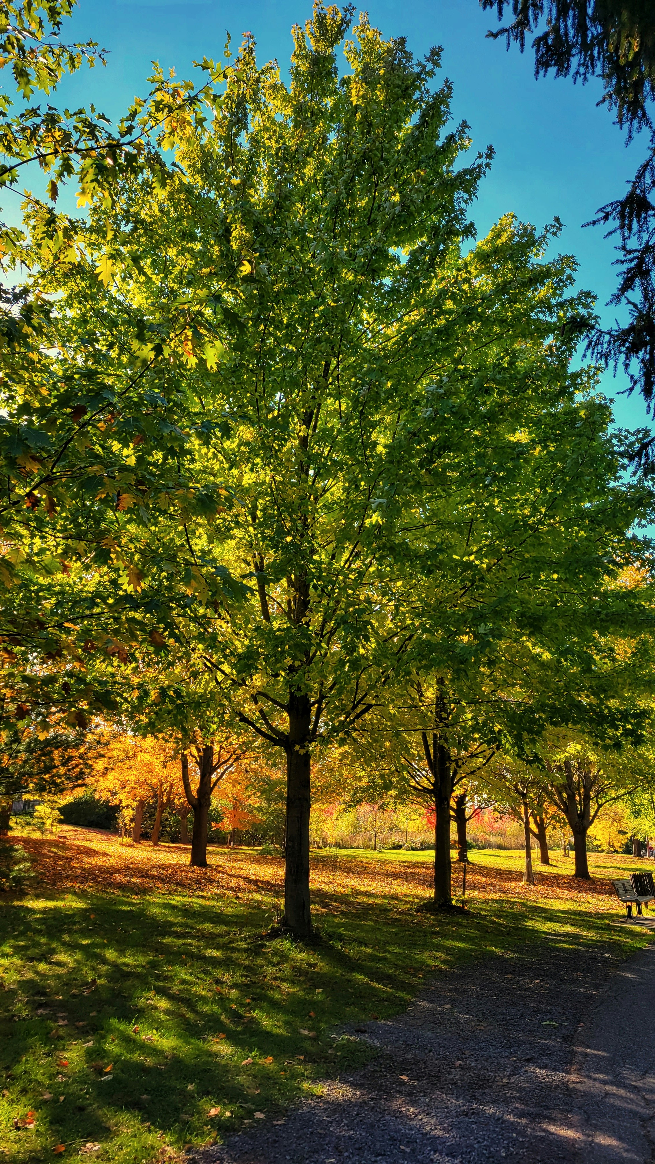 Photo by thephotographermom