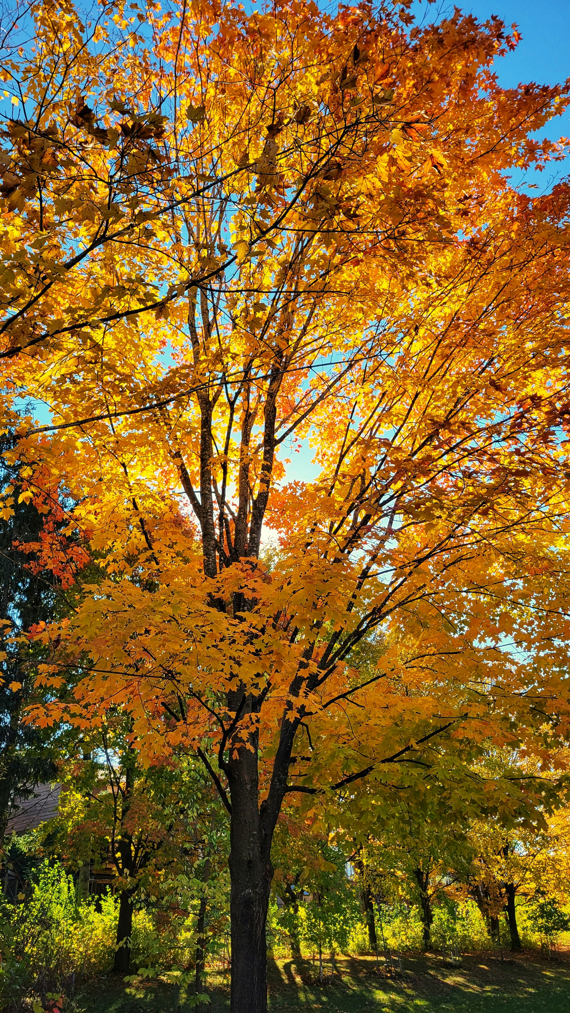 Photo by thephotographermom