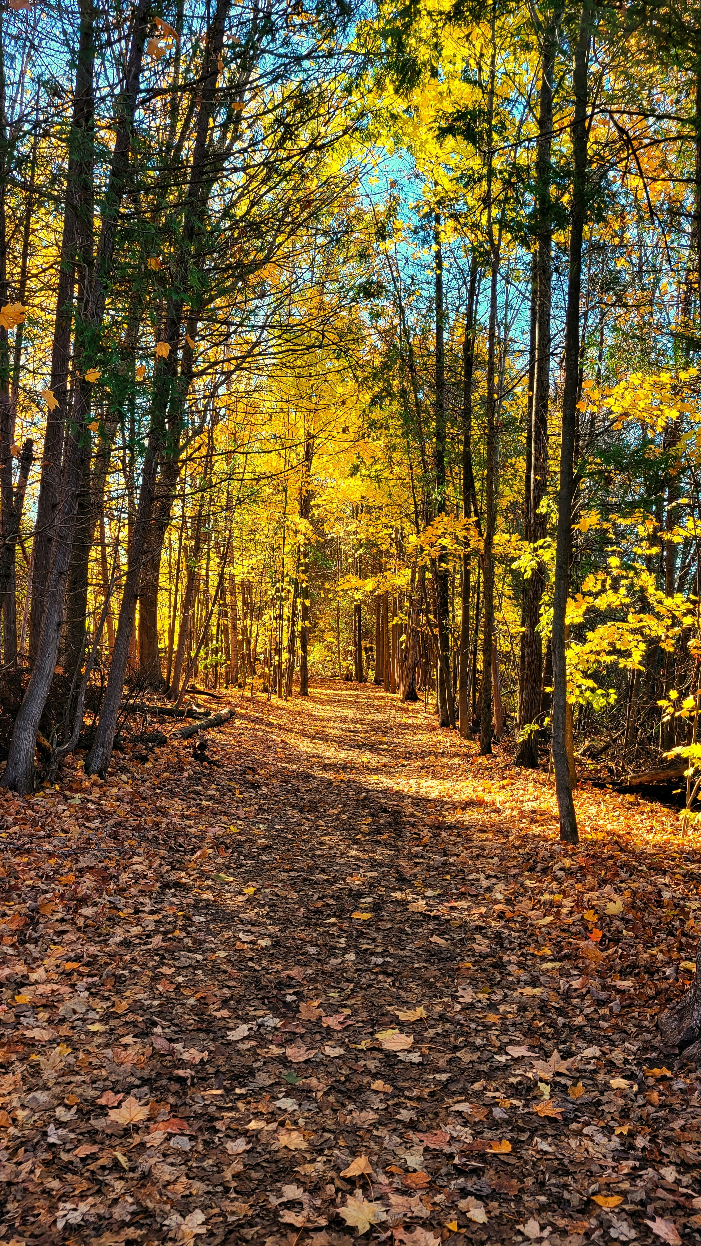 Photo by thephotographermom