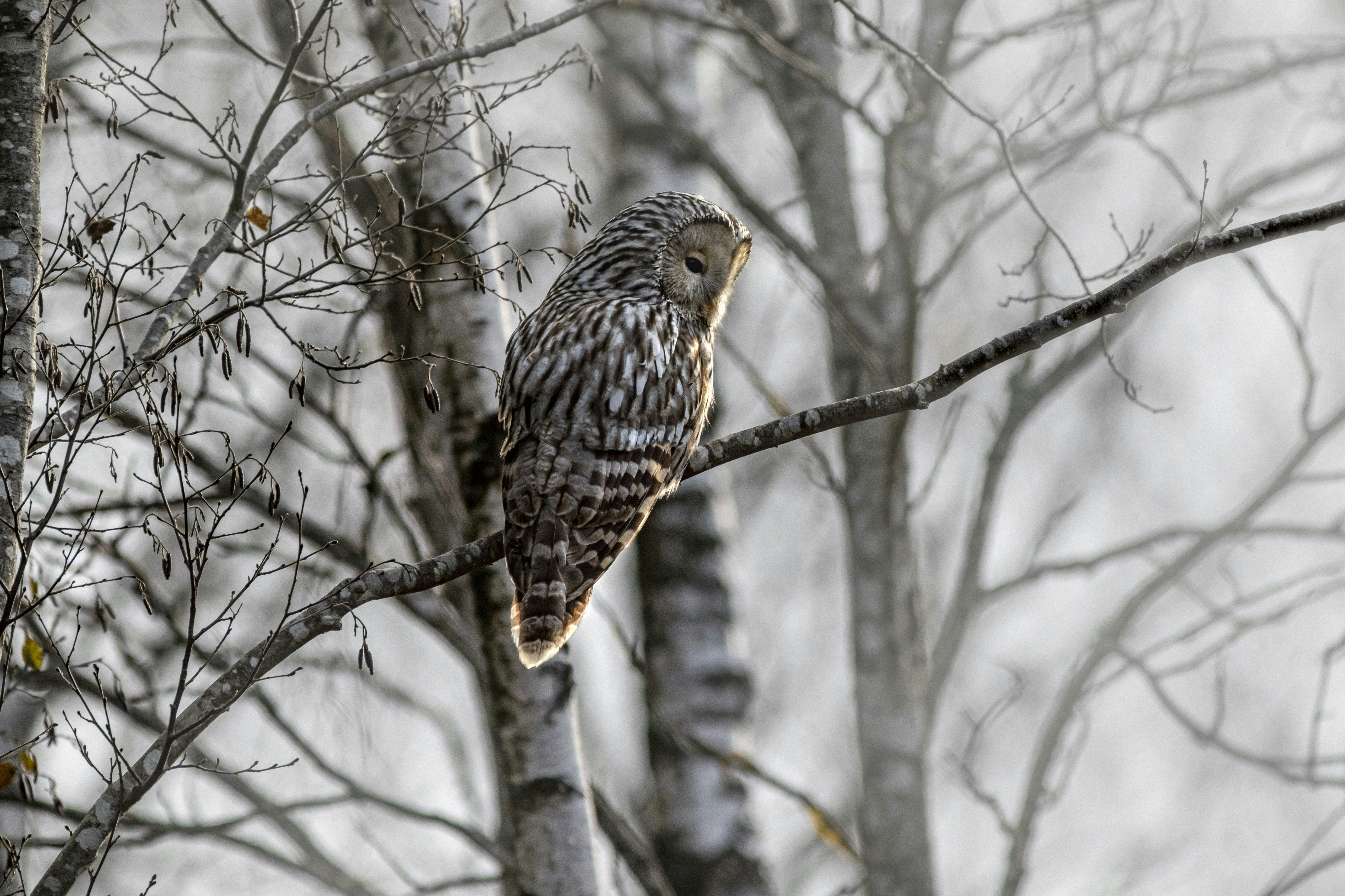 Photo by erik_karits