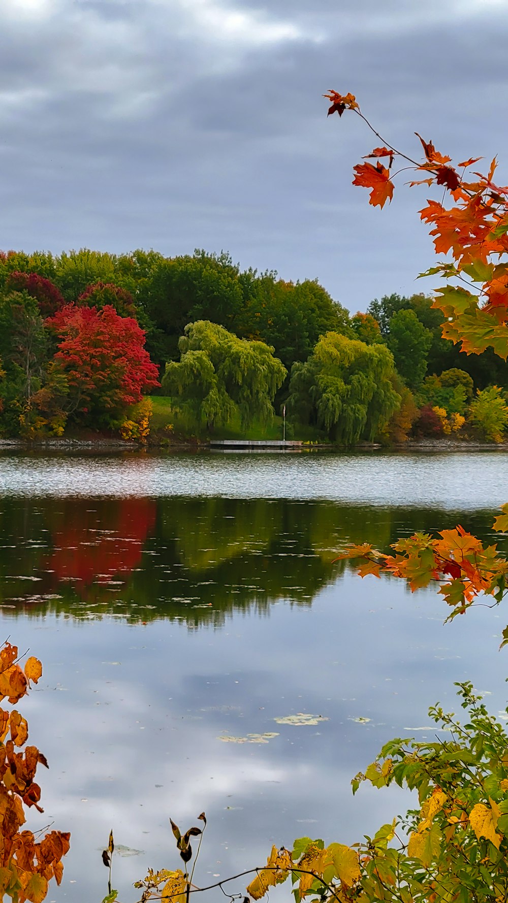 a body of water surrounded by lots of trees