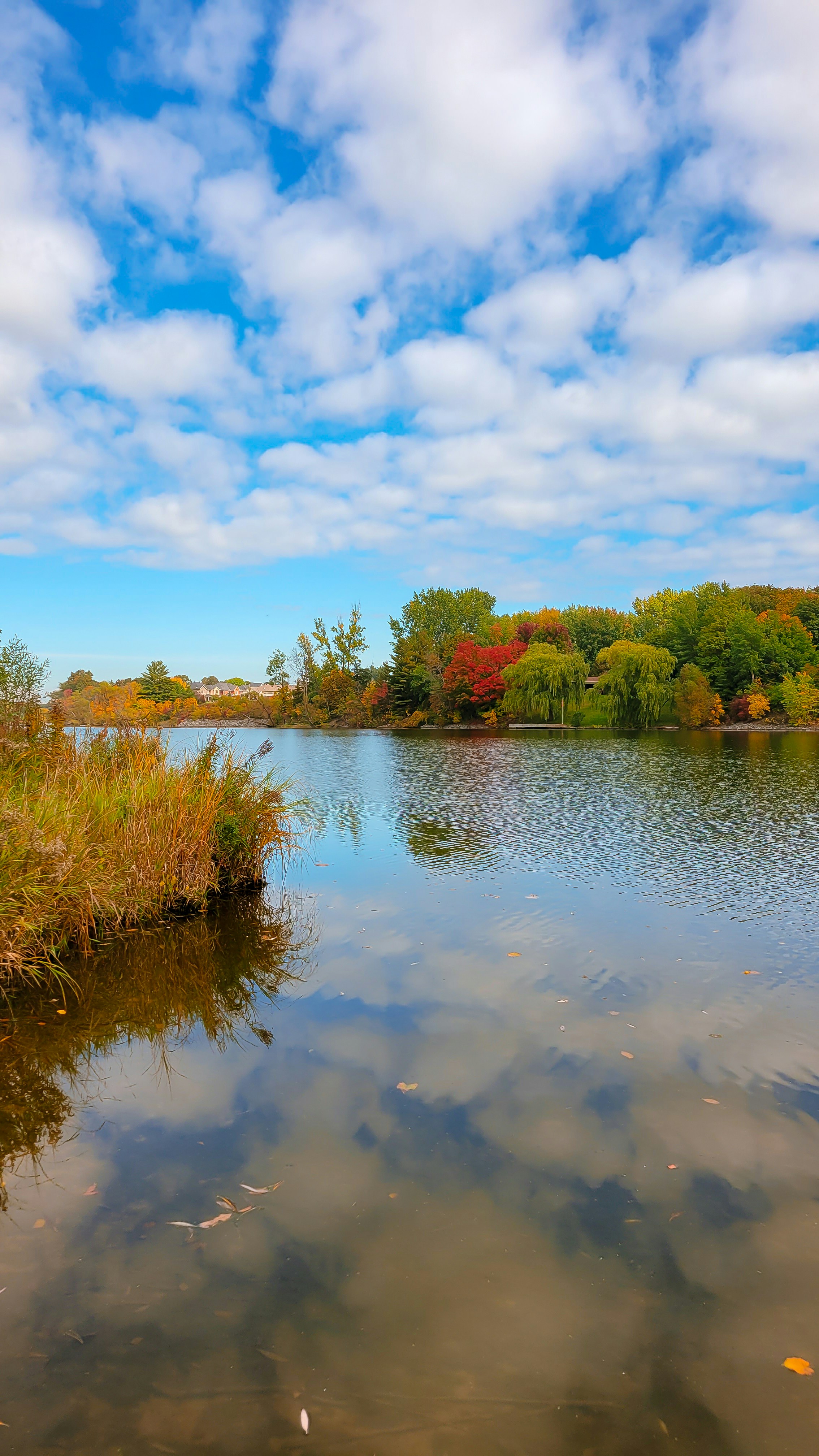 Photo by thephotographermom