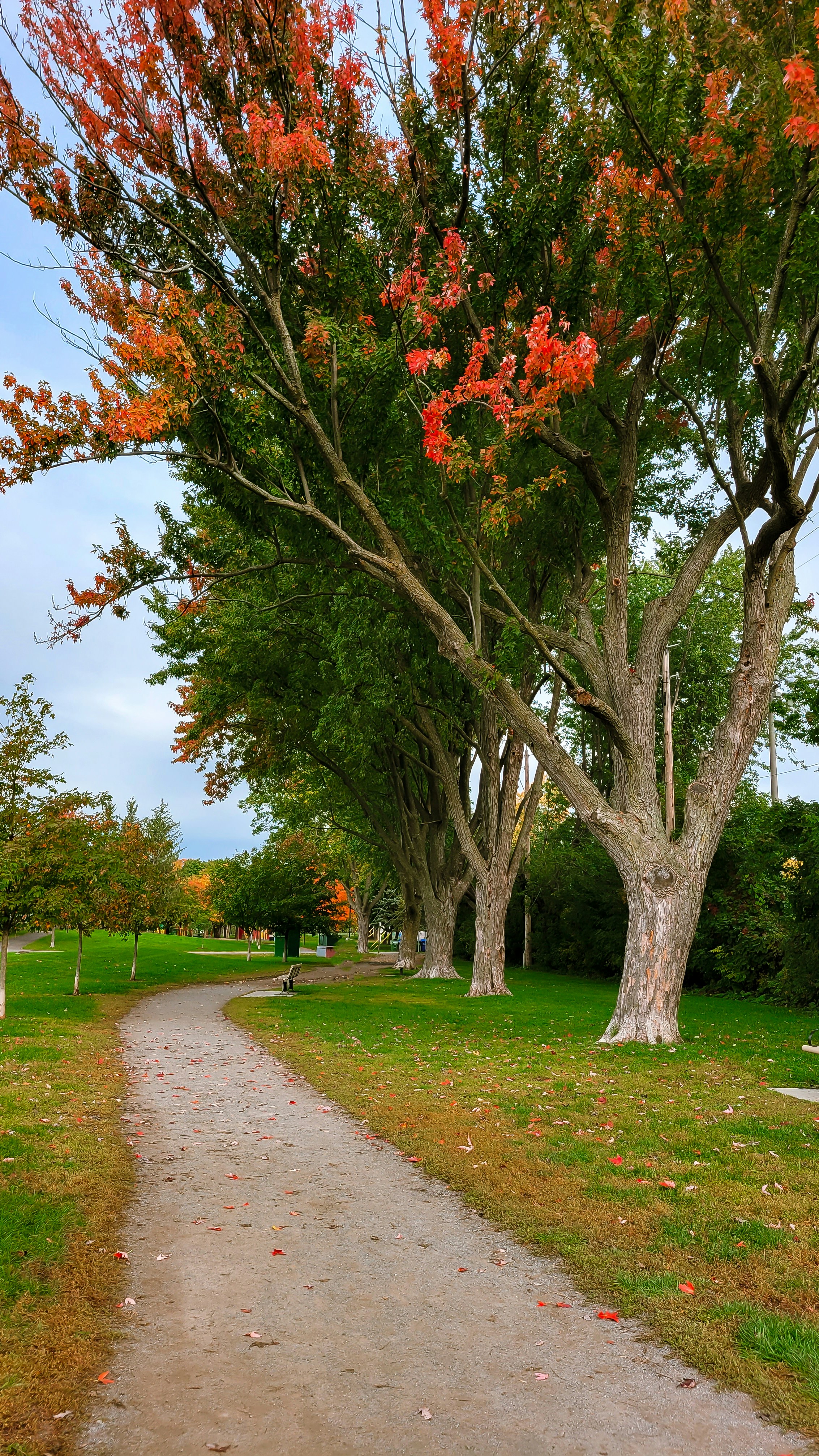 Photo by thephotographermom