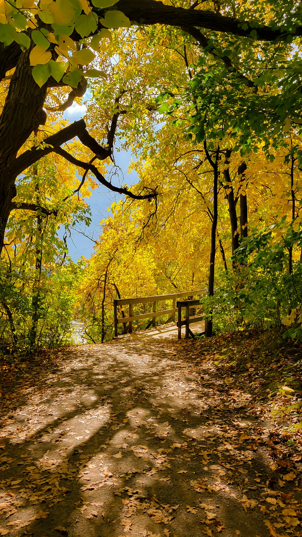 a wooden bench sitting on the side of a dirt road