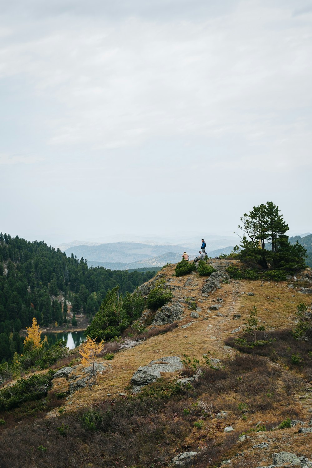 a person standing on top of a hill