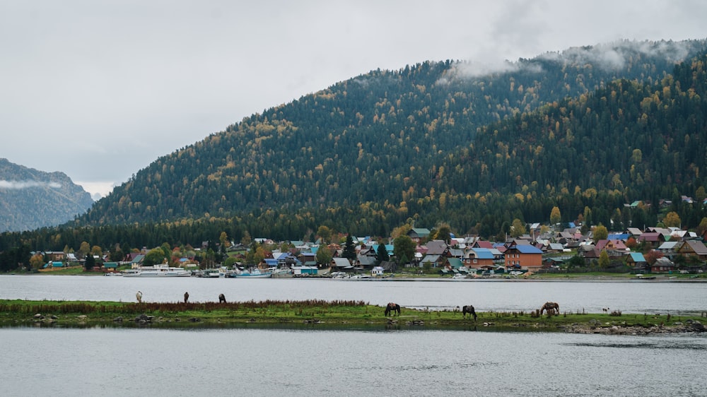 a lake with a mountain in the background