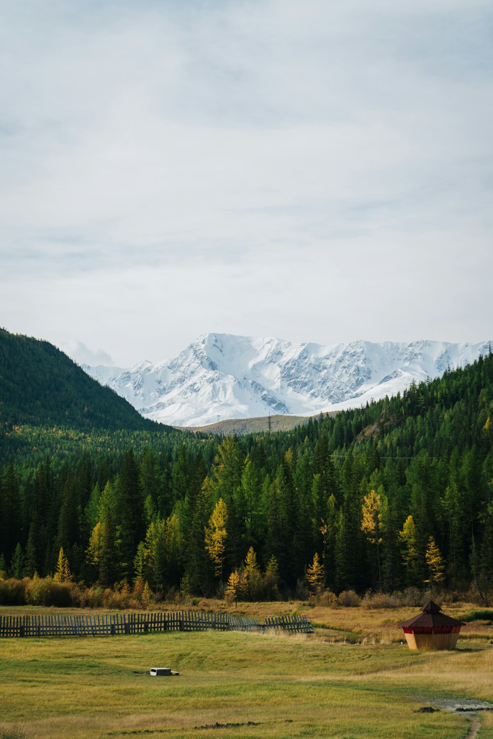 a large field with a mountain in the background