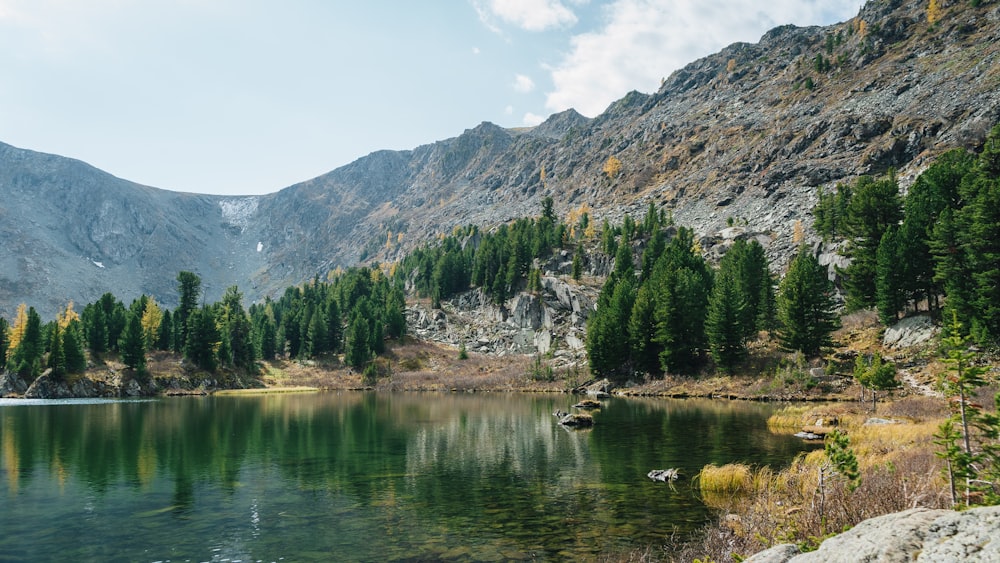 a body of water surrounded by mountains and trees