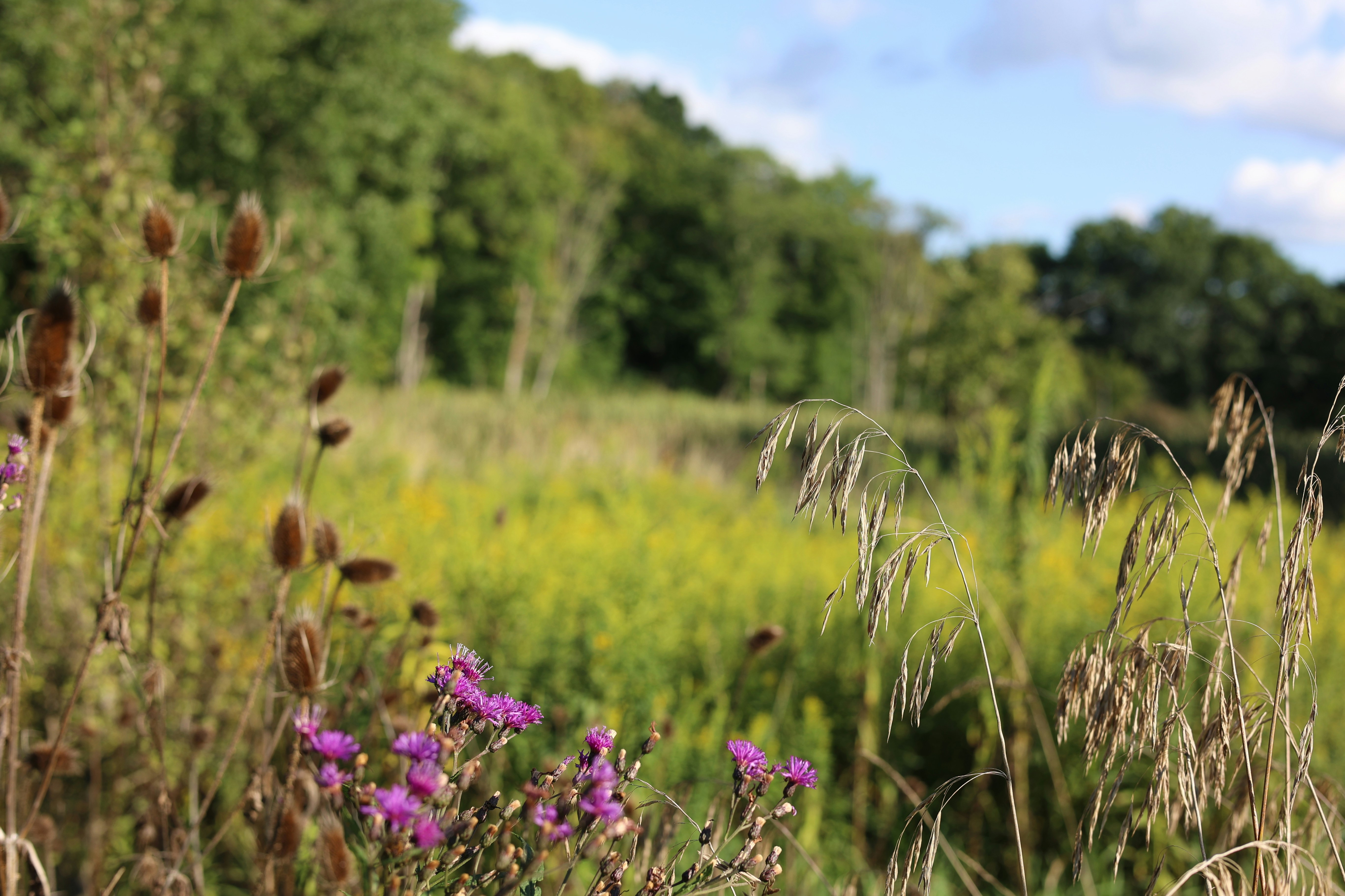 Photo by adeptcreative