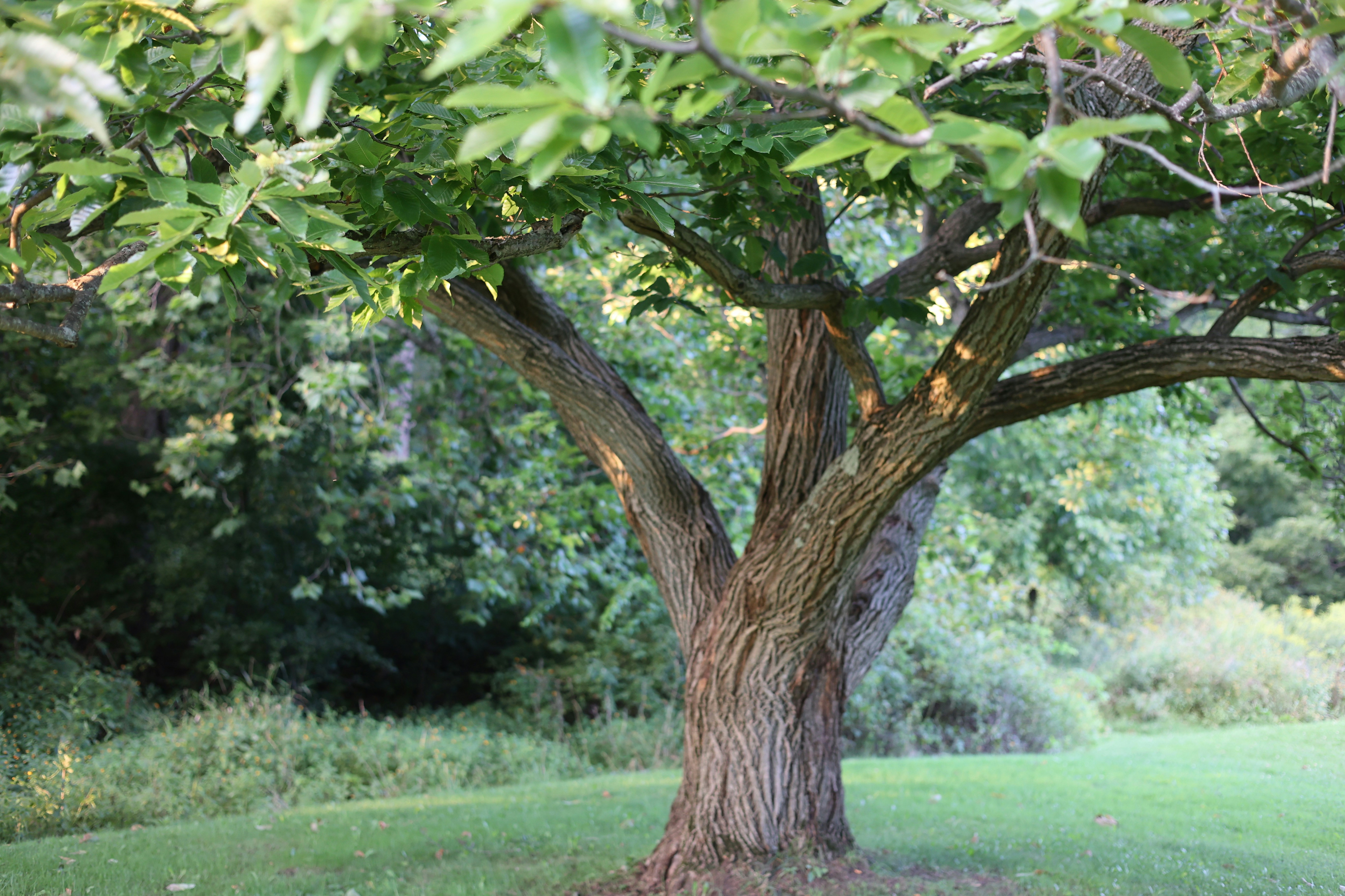 Photo by adeptcreative